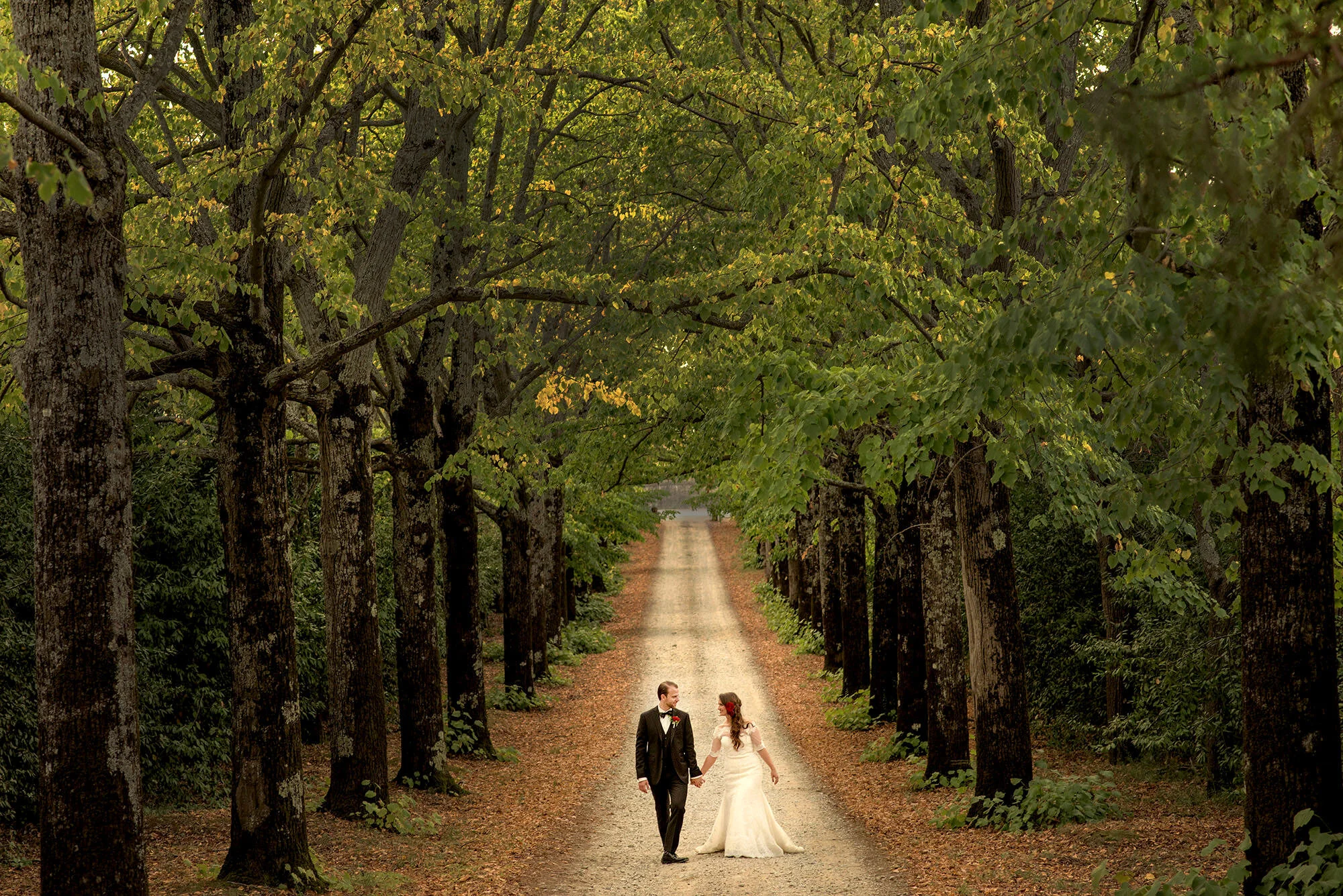 pricing ash jon walking.JPG