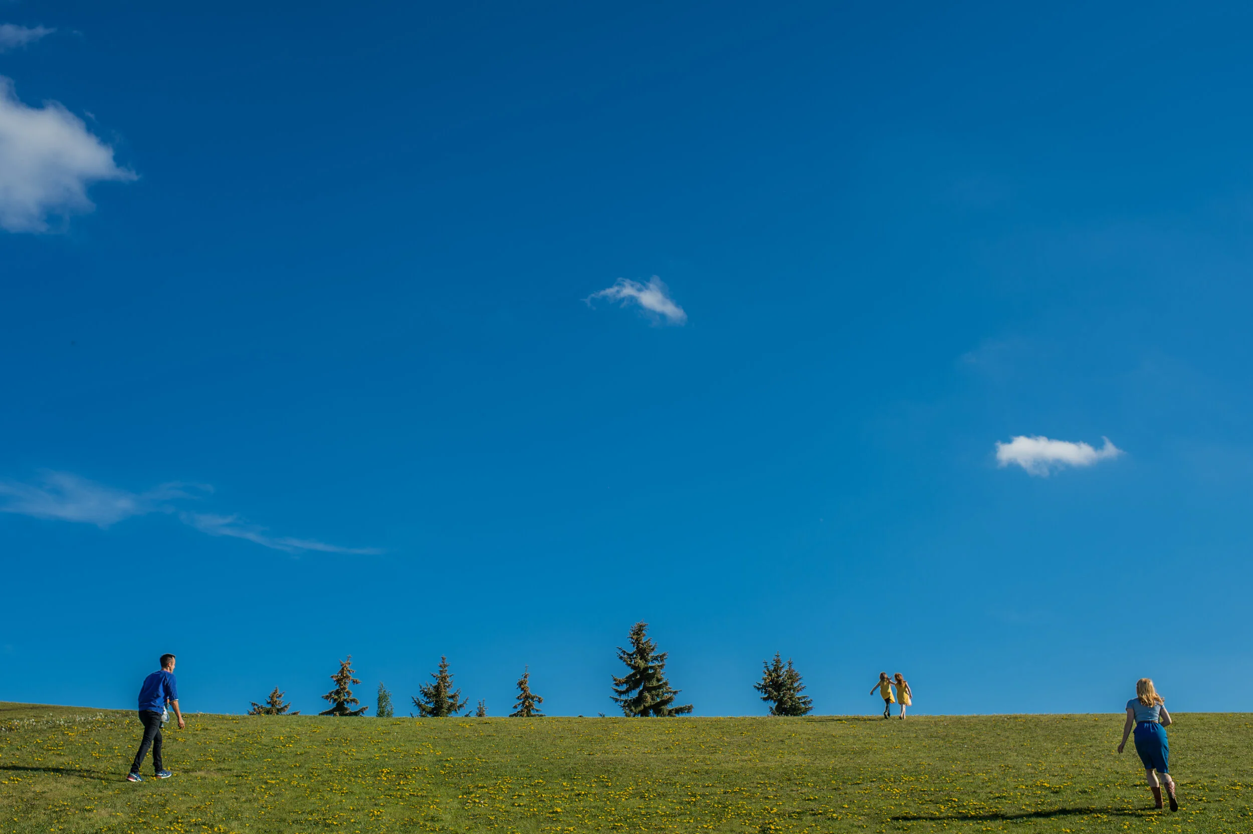 Parrott_spring2016_032.jpg