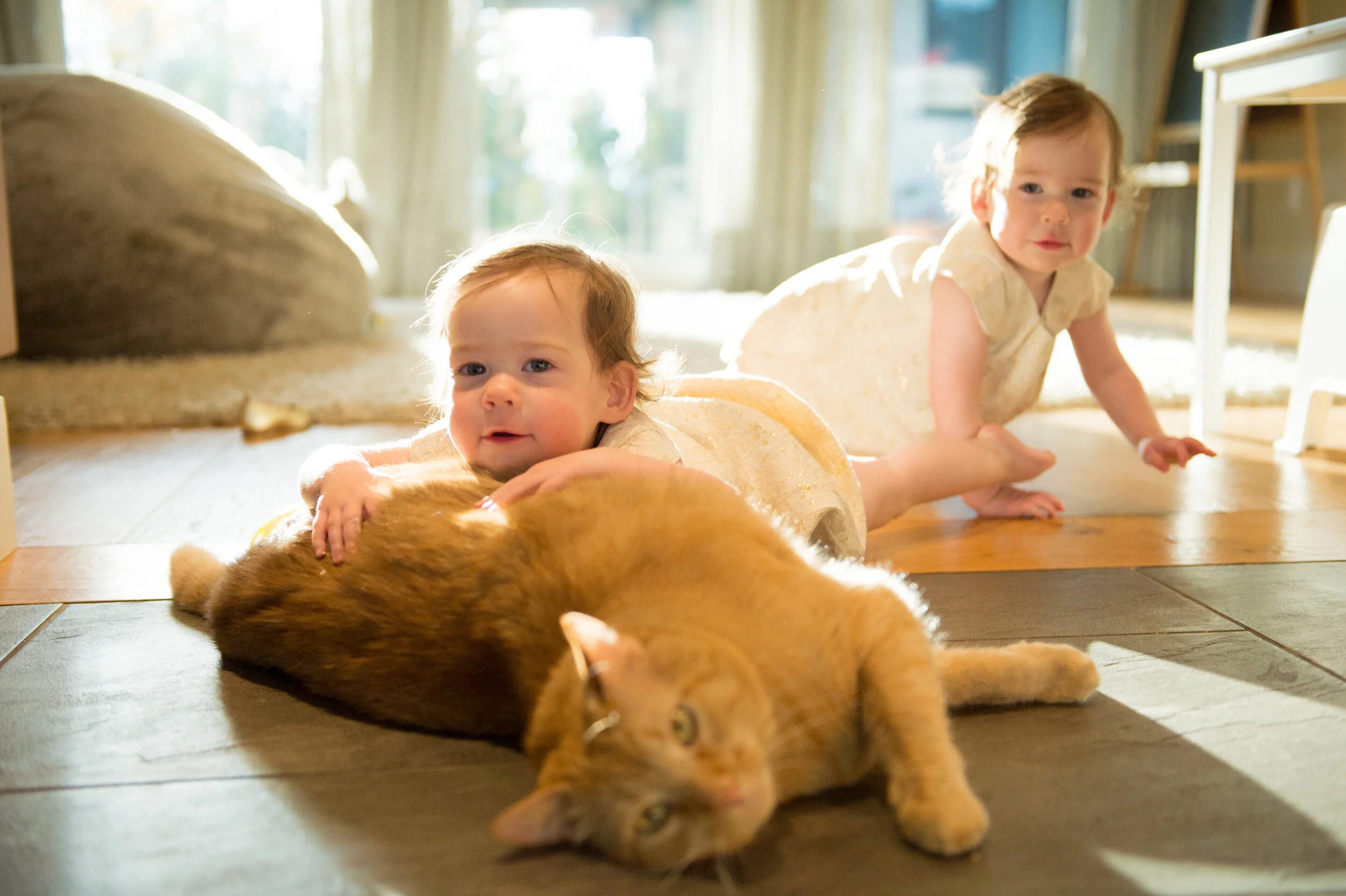 Robinson_family_115.jpg