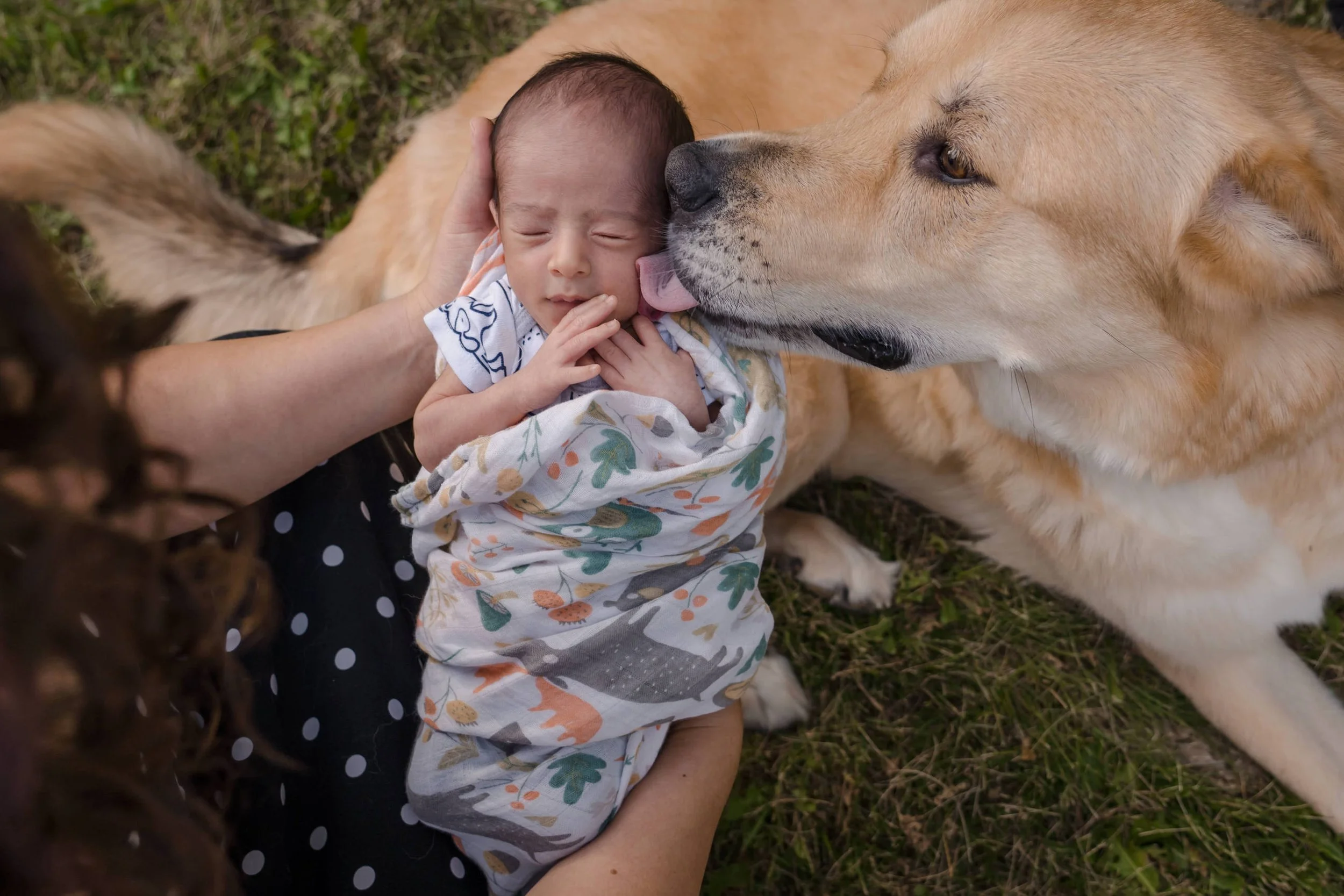 20220723_Noah_newborn_62.jpg