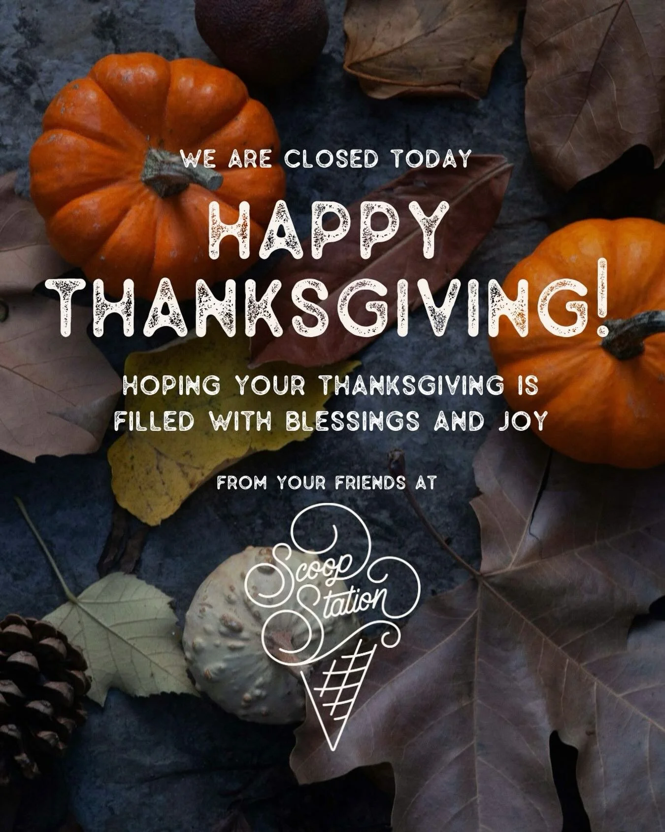 Happy Thanksgiving! And thank you for supporting my little business. I am eternally grateful for this Community of Caring. 
⠀⠀⠀⠀⠀⠀⠀⠀⠀⠀⠀⠀⠀⠀⠀⠀⠀⠀ 
We are closed today so that the entire staff can spend the day with their families. We&rsquo;ll be back to