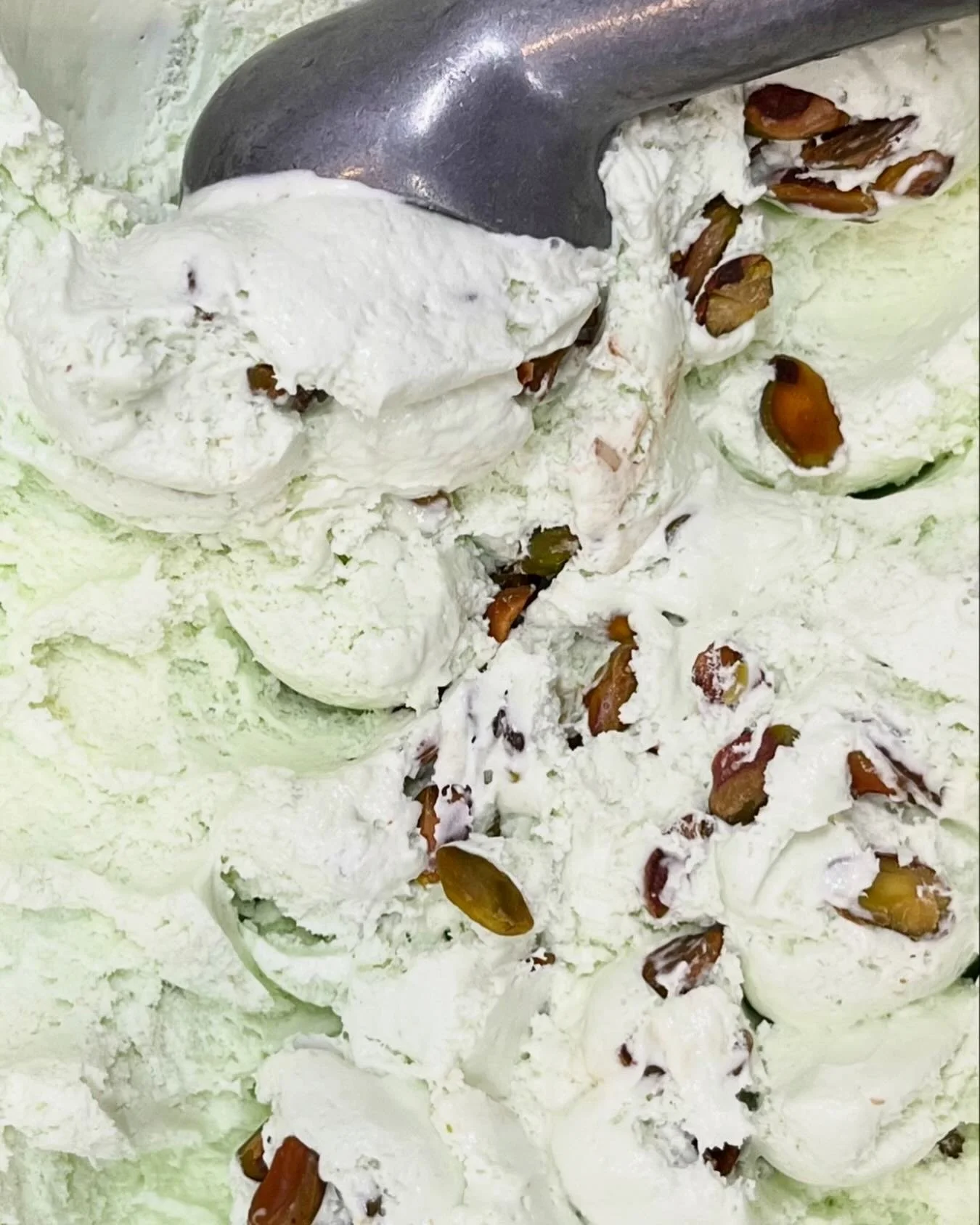 PISTACHIO is back! And it&rsquo;s loaded with real pistachios! You&rsquo;ll go nuts for us. Trust us. 
⠀⠀⠀⠀⠀⠀⠀⠀⠀⠀⠀⠀⠀⠀⠀⠀⠀⠀ 
⠀⠀⠀⠀⠀⠀⠀⠀⠀⠀⠀⠀⠀⠀⠀⠀⠀⠀
⠀⠀⠀⠀⠀⠀⠀⠀⠀⠀⠀⠀⠀⠀⠀⠀⠀⠀
⠀⠀⠀⠀⠀⠀⠀⠀⠀⠀⠀⠀⠀⠀⠀⠀⠀⠀

Come on by!
🌷Sun: Noon-9pm
🌷Mon-Thur: 1pm-9pm
🌷Fri: 1pm-10pm
🌷Sat