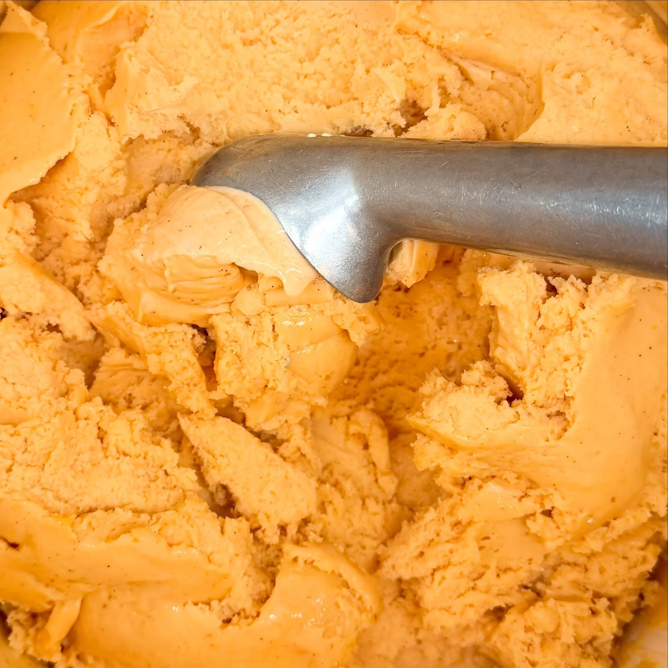 &lsquo;Bout that time. PUMPKIN is back! 🎃 
⠀⠀⠀⠀⠀⠀⠀⠀⠀⠀⠀⠀⠀⠀⠀⠀⠀⠀ 
Open 7 days a week, noon to 10pm.🕙 
Or get it delivered with DoorDash! 
⠀⠀⠀⠀⠀⠀⠀⠀⠀⠀⠀⠀⠀⠀⠀⠀⠀⠀
⠀⠀⠀⠀⠀⠀⠀⠀⠀⠀⠀⠀⠀⠀⠀⠀⠀⠀
⠀⠀⠀⠀⠀⠀⠀⠀⠀⠀⠀⠀⠀⠀⠀⠀⠀⠀
⠀⠀⠀⠀⠀⠀⠀⠀⠀⠀⠀⠀⠀⠀⠀⠀⠀⠀
#scoopstation #icecream #morrisplains