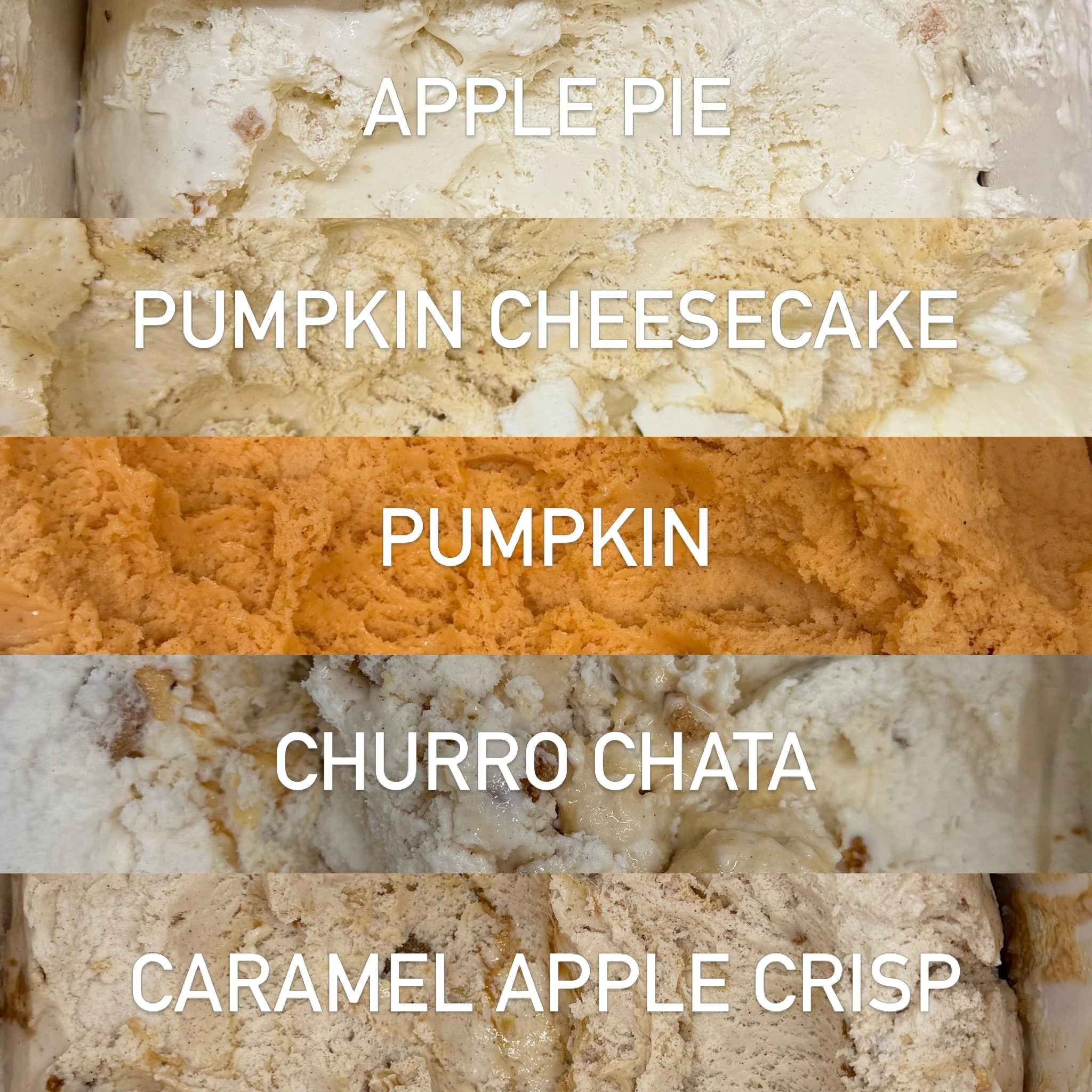 🍂🎃 FALL FLAVOR DROP 🎃🍂
⠀⠀⠀⠀⠀⠀⠀⠀⠀⠀⠀⠀⠀⠀⠀⠀⠀⠀
Your sign to make an emergency ice cream run. 👀
⠀⠀⠀⠀⠀⠀⠀⠀⠀⠀⠀⠀⠀⠀⠀⠀⠀⠀
The fall lineup has officially landed at Scoop Station:
⠀⠀⠀⠀⠀⠀⠀⠀⠀⠀⠀⠀⠀⠀⠀⠀⠀⠀
🍎 Apple Pie
🎃 Pumpkin Cheesecake
🎃 Pumpkin
✨ Churro Chata
