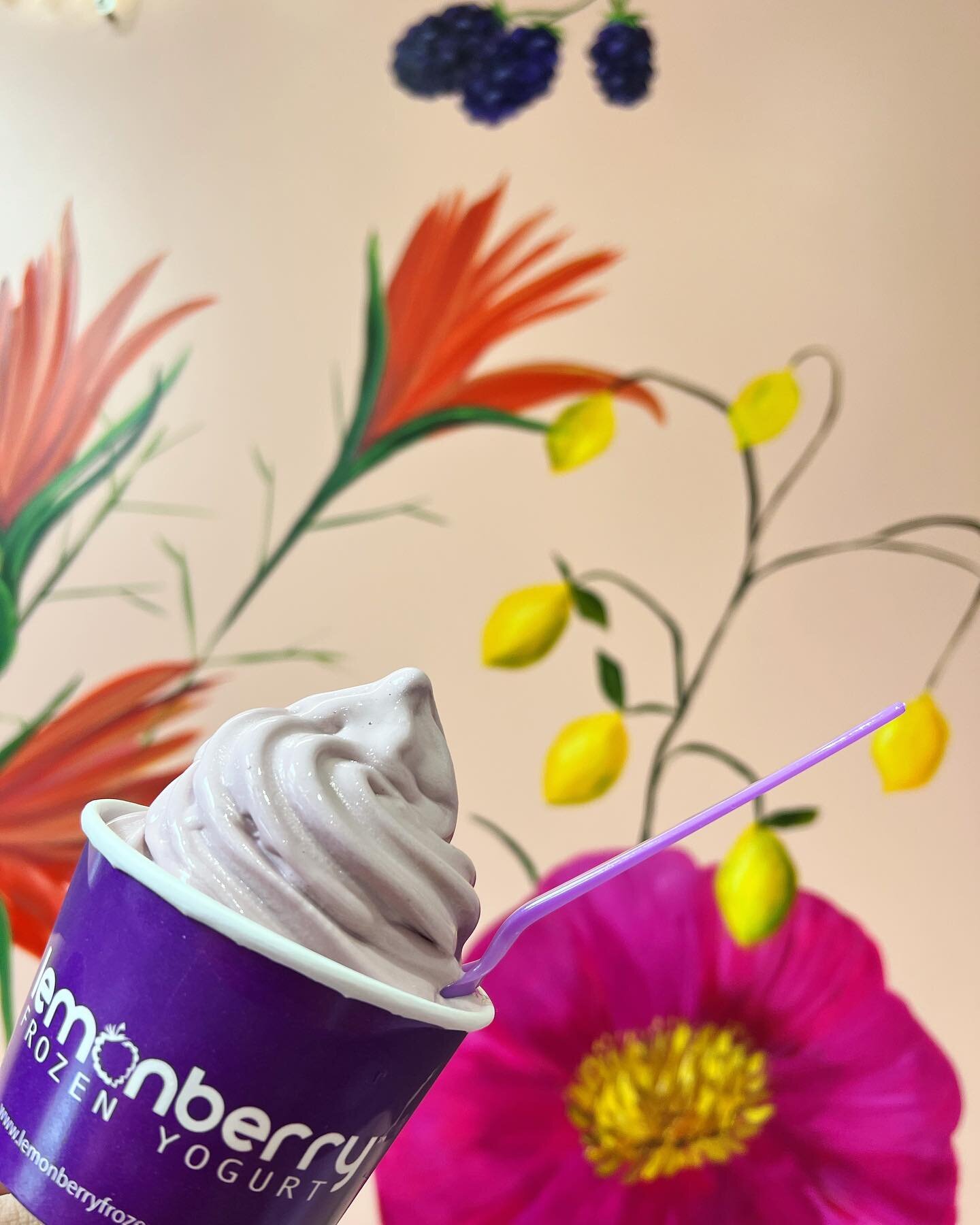 Happy Friday! ☀️Enjoy this beautiful weather with some froyo &amp; bubble tea! 🍦🧋

Our favorite Blackberry Froyo is on a Brecksville! 

#froyo #lemonberryfroyo #brecksville #brecksvilleohio