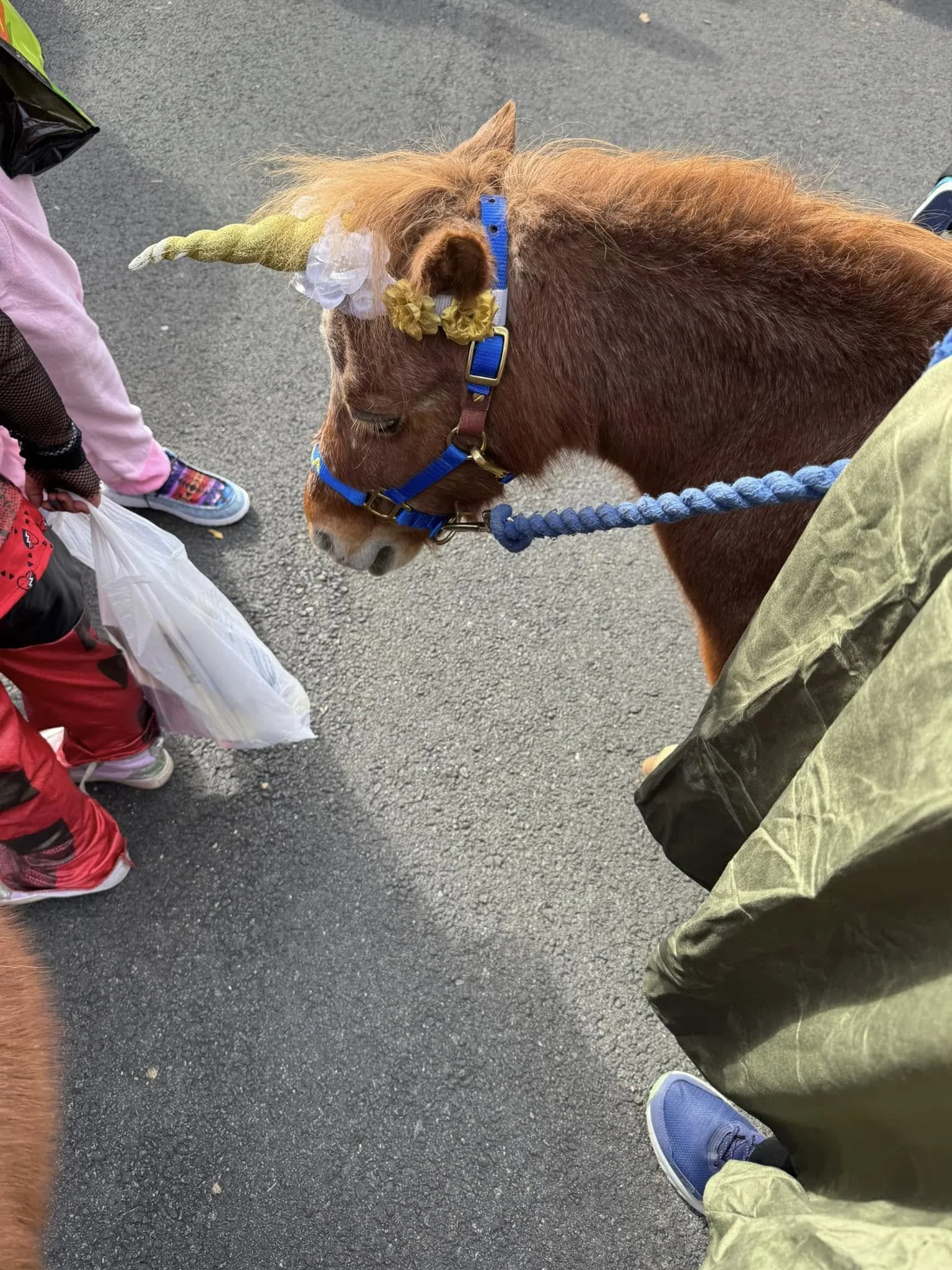 Trunk or Treat at the WARF🎃
