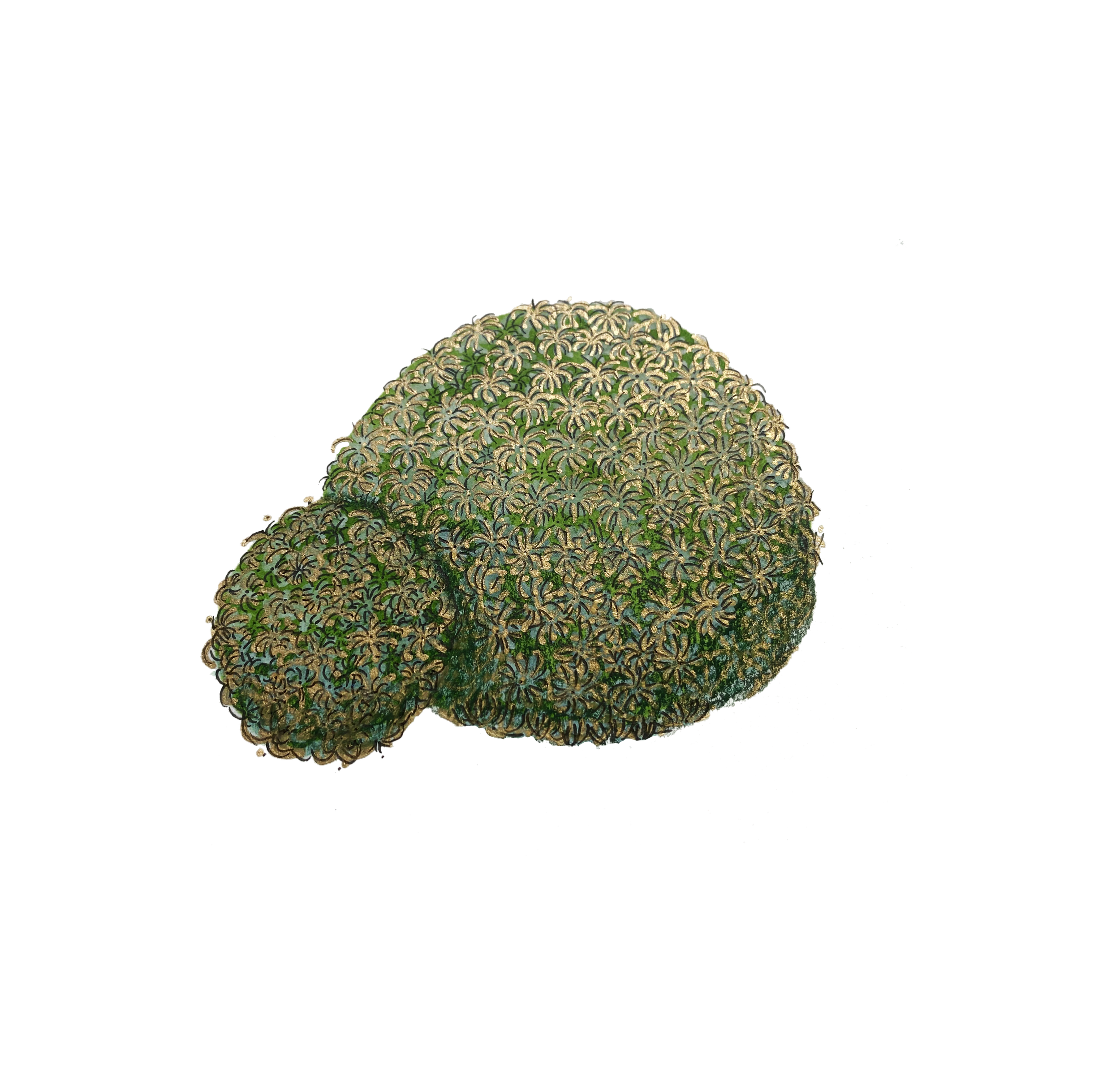 Manmillaria Cactus feather-MARS.png