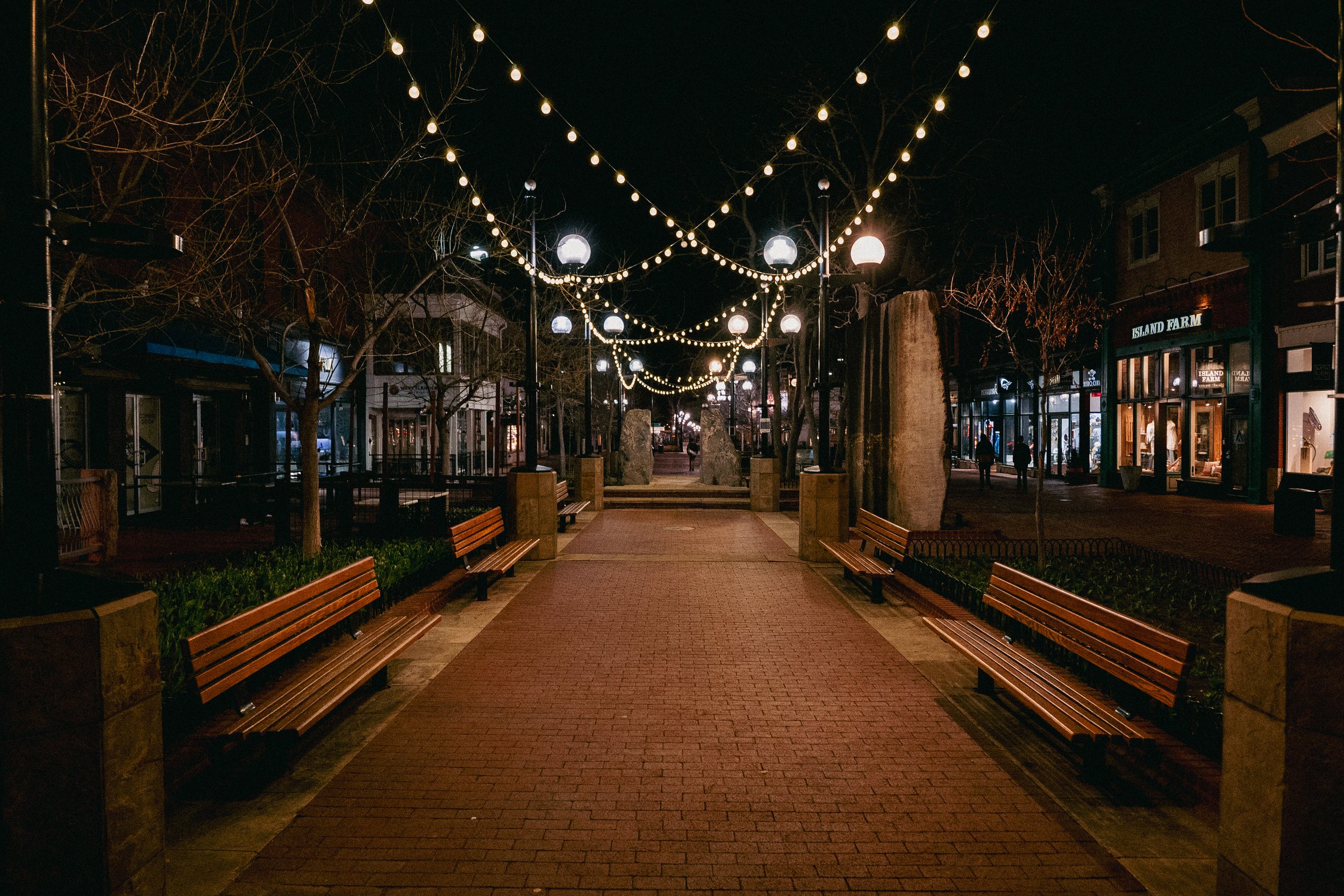 SS: 1/160, f/2.8, ISO 2000