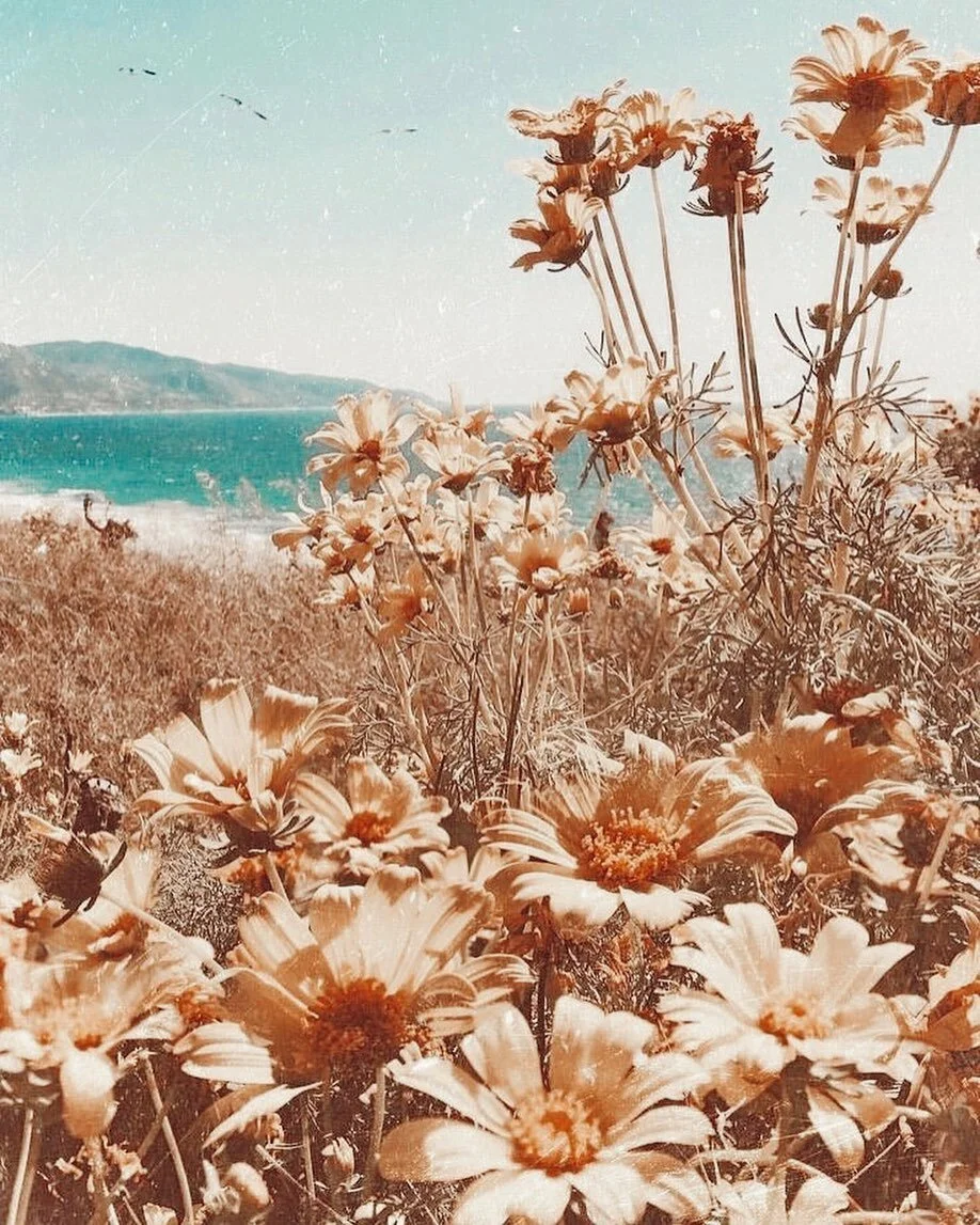 I&rsquo;ll meet you here