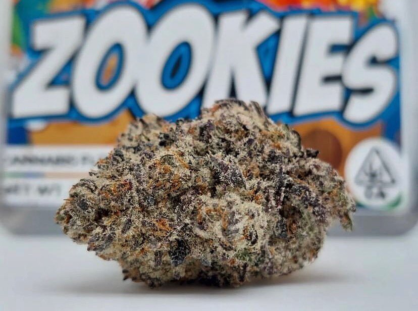 Fresh drop of Zookies 😍 So pungent &amp; potent, you can go wrong with this in your jay 😮&zwj;💨
@happyleafla @southbaycannaclinic 

#WeGotTheJuice #JuiceProgram