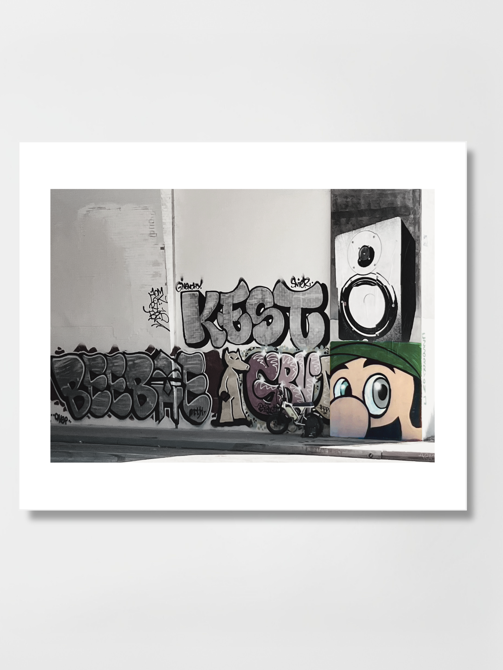 Luigi Print - Zsorryon Print.png