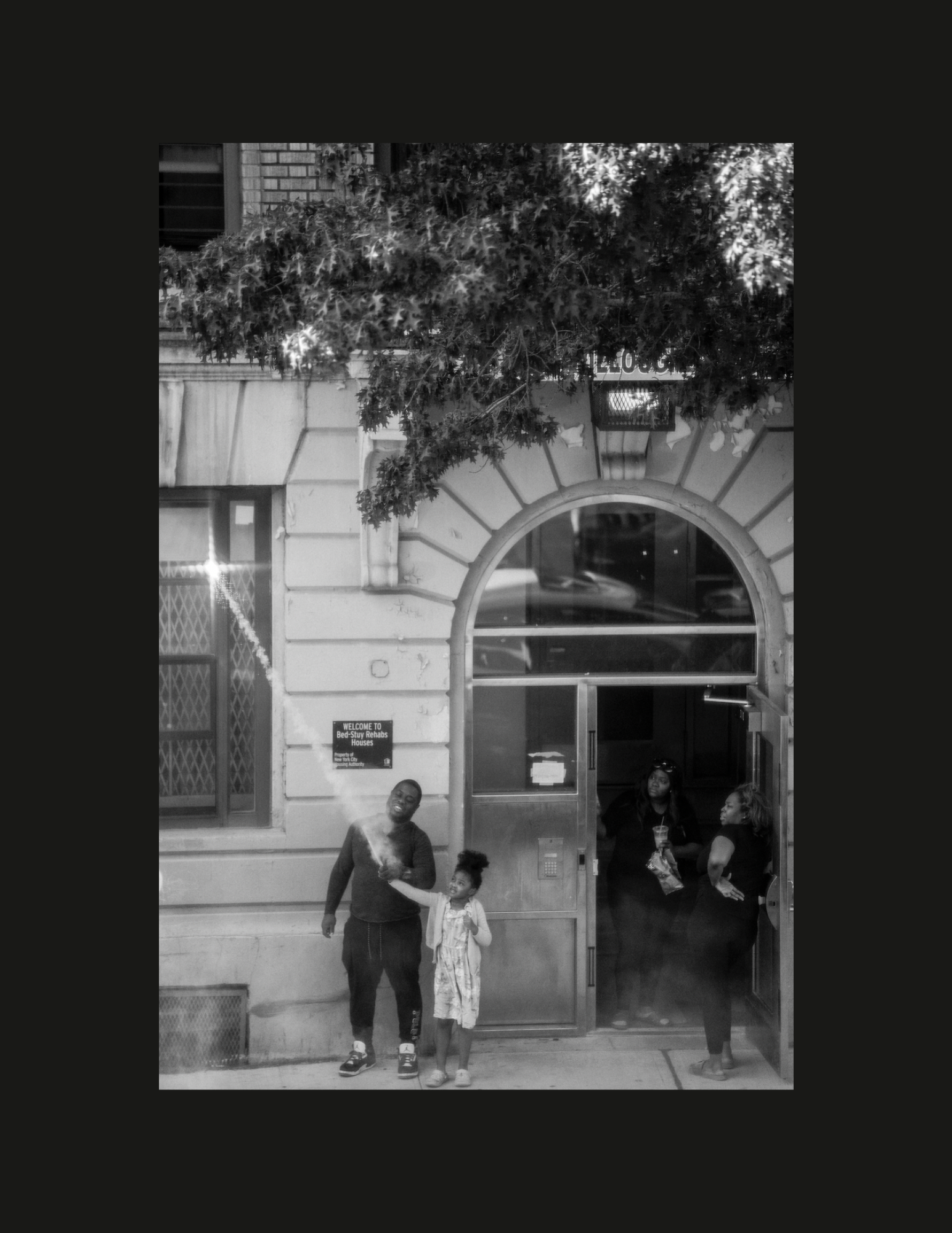 lumi dee record required.png