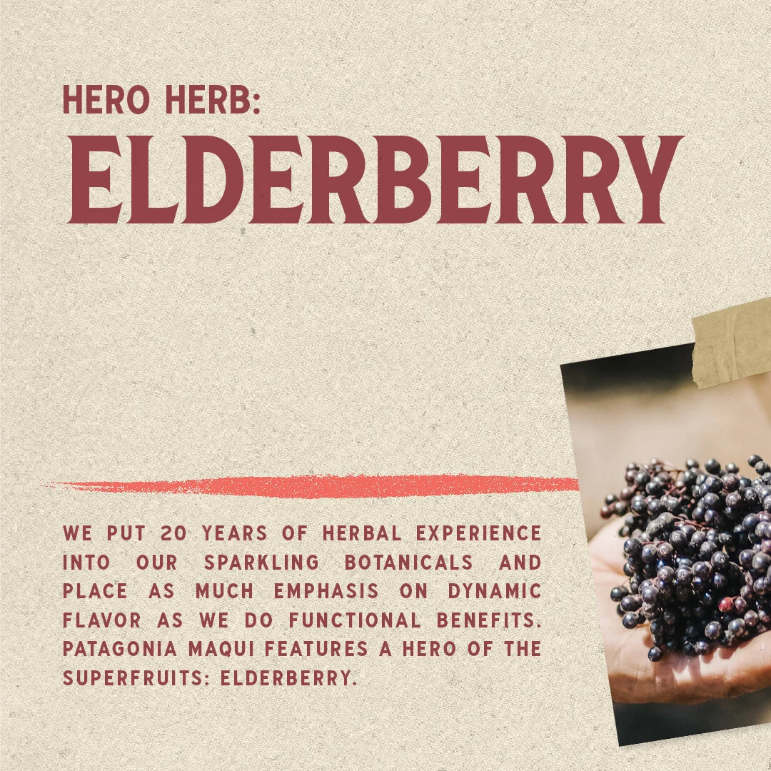 Origin_Process_LOOK_C_ELDERBERRY_1x1-journalvibe-01-1of3.jpg