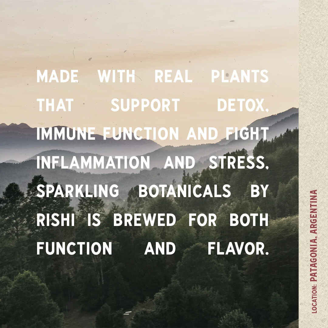 Origin_Process_LOOK_C_ELDERBERRY_1x1-journalvibe-01-3of3.jpg