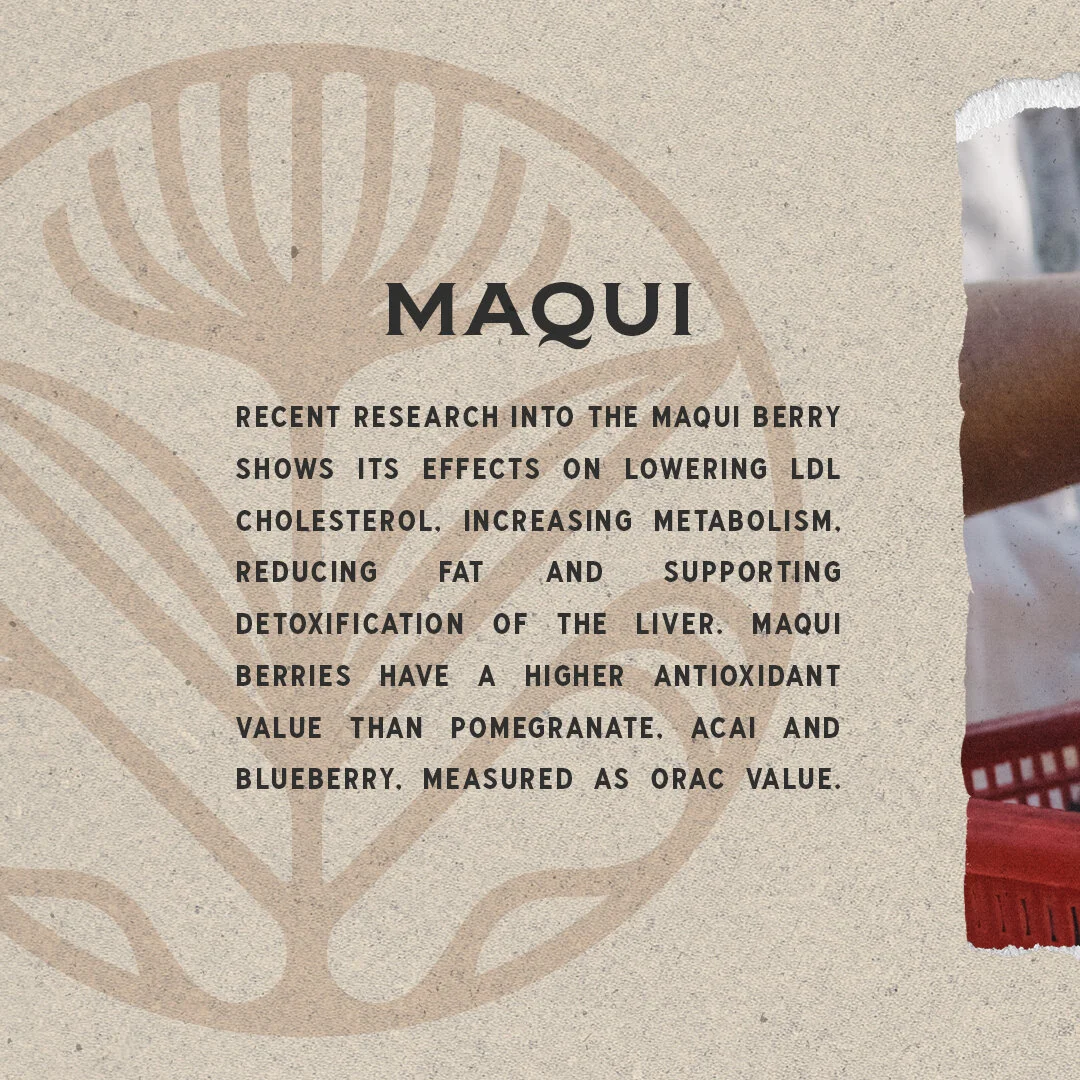 Origin_Process_LOOK_A_MAQUI_1x1-maquiharvest-01-1of2.jpg