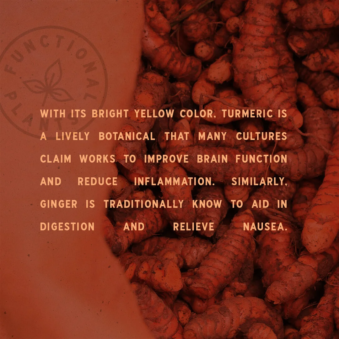 Product_Function_LOOK_E_TURMERICSAFFRON_1x1-cansquareright-01-1of2.jpg