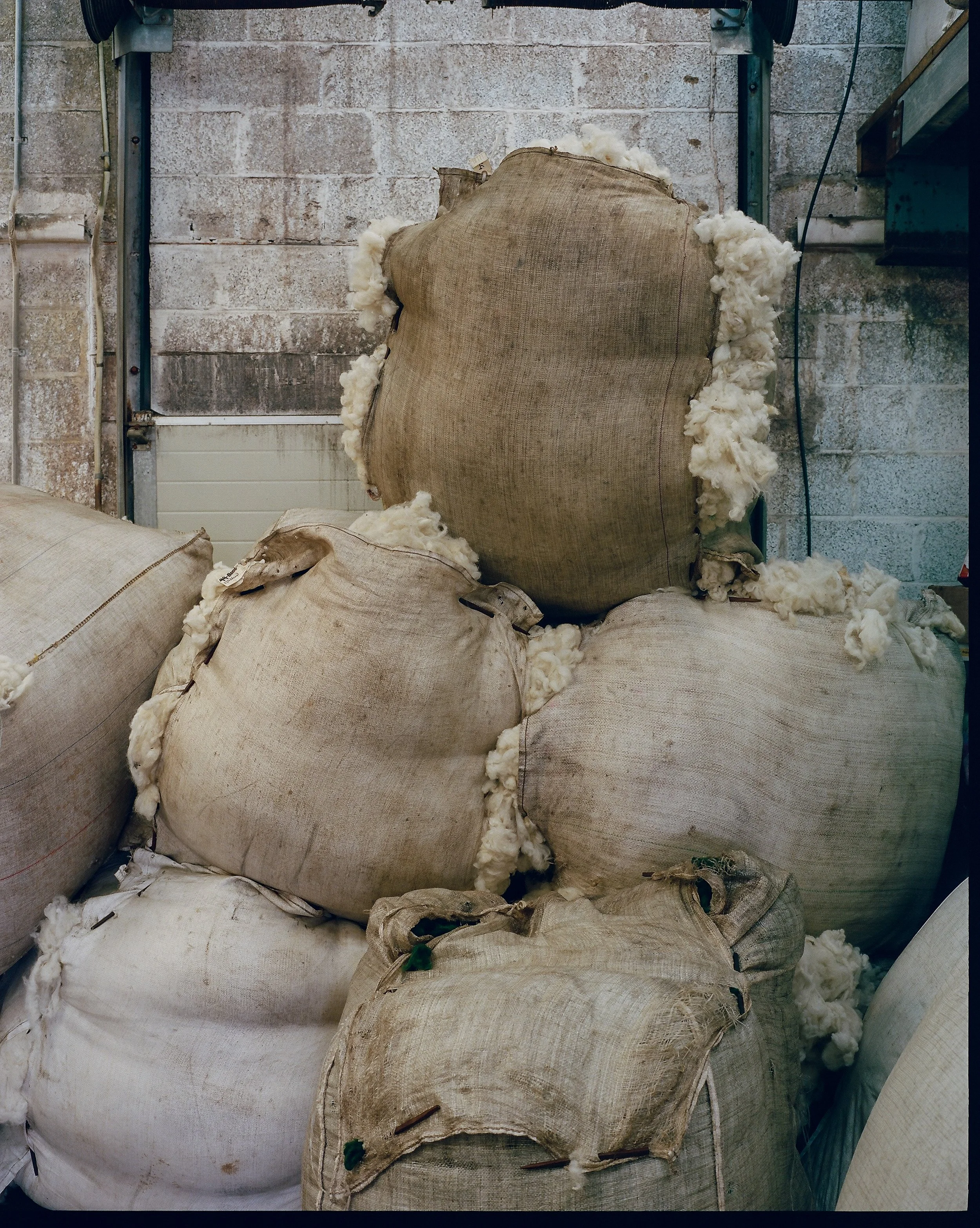 Factory50.jpg