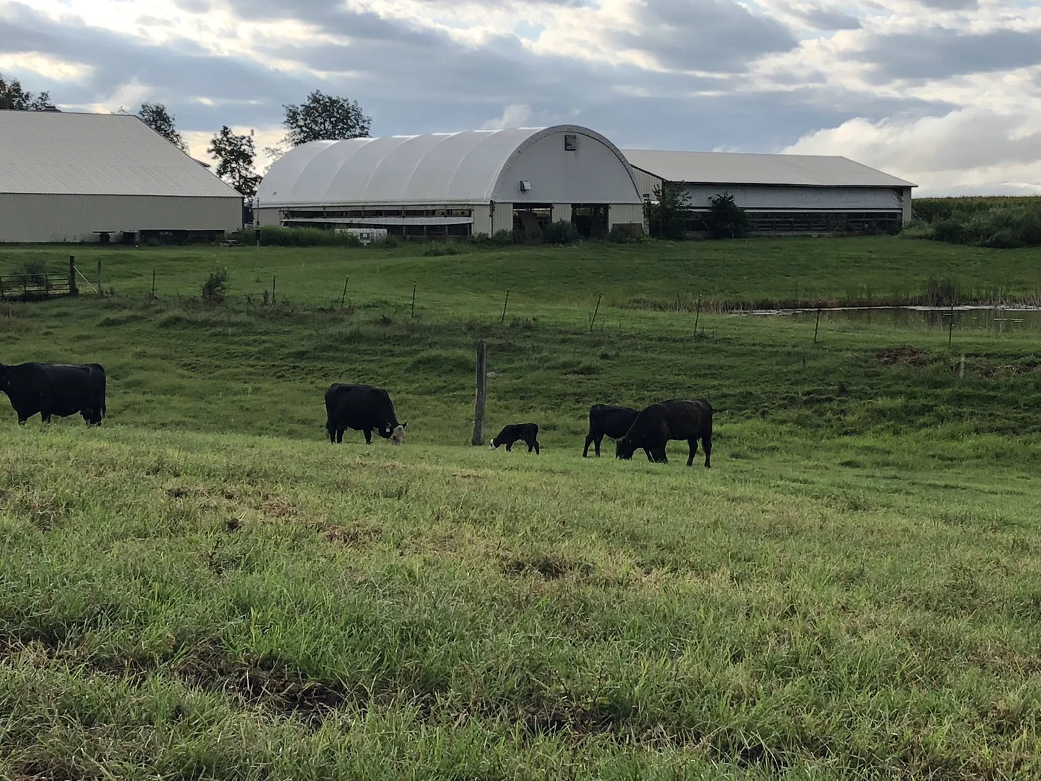 Sugar Creek Valley Meats, LLC