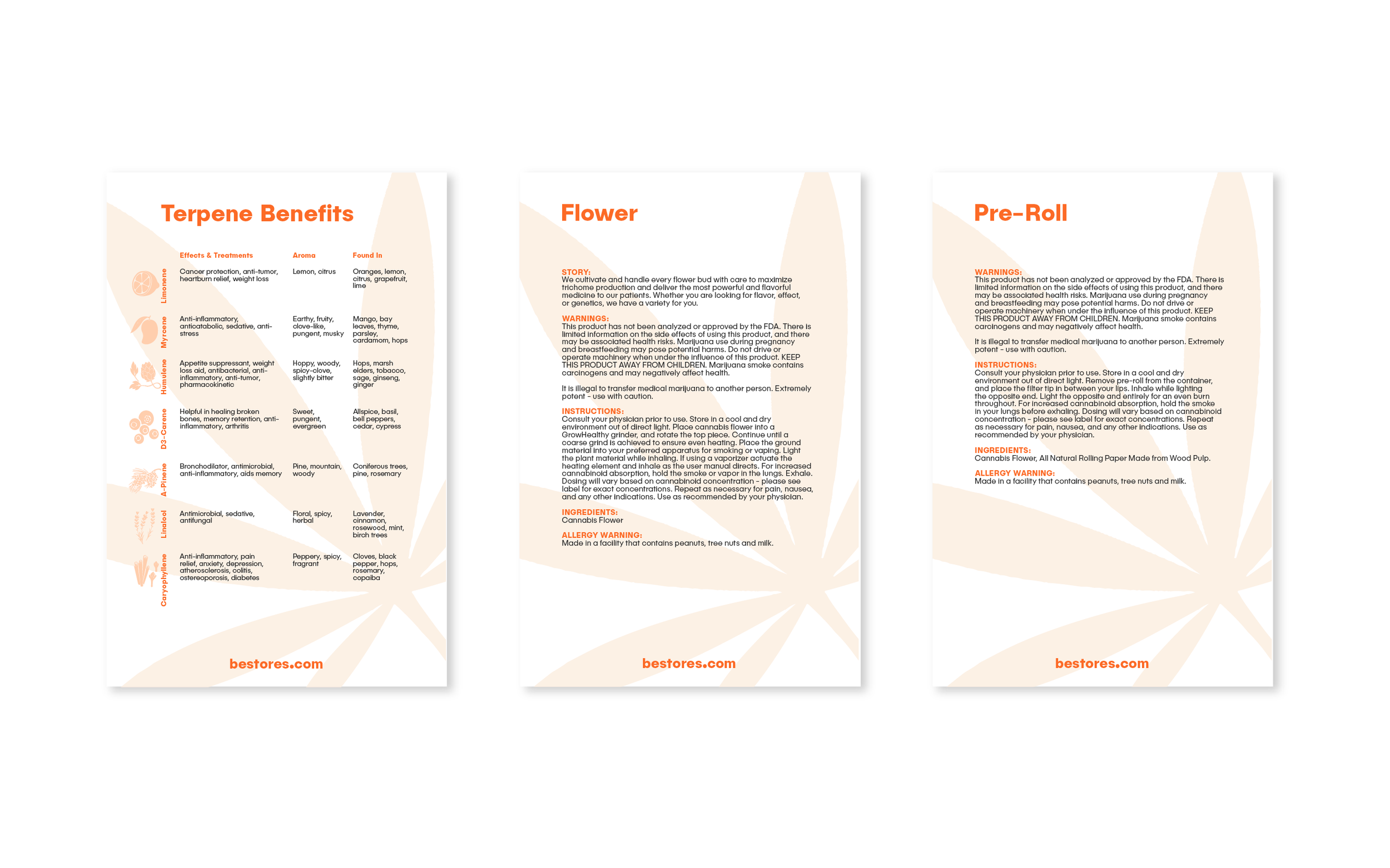 Be_Medical Collateral-13.png