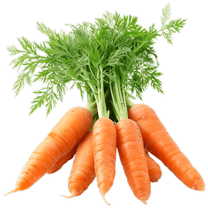 Carrots