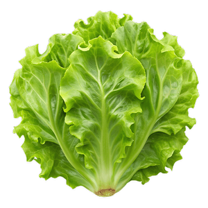 Leafy Greens