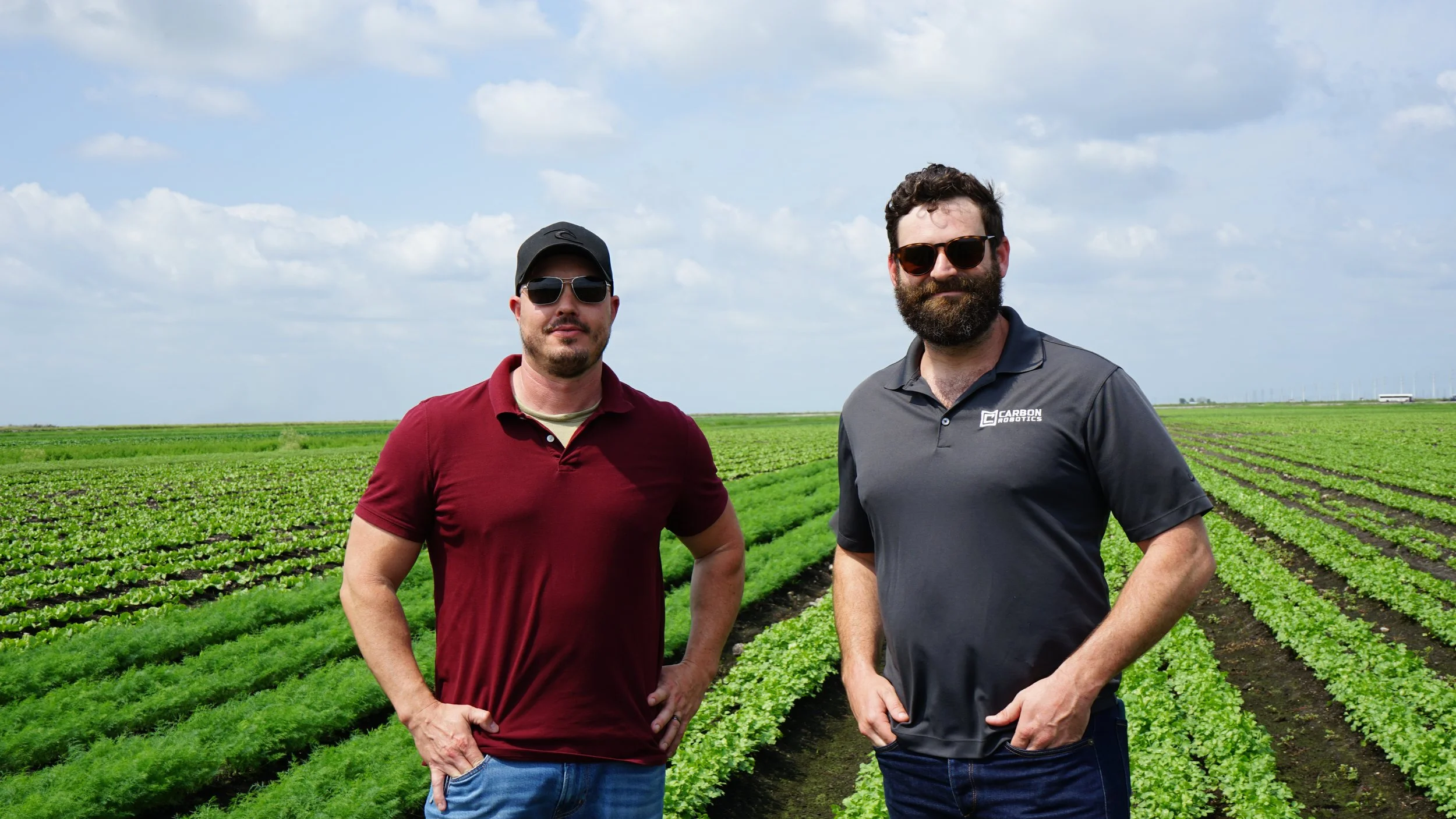 Two men standing in a field with rows of crops under a blue sky.