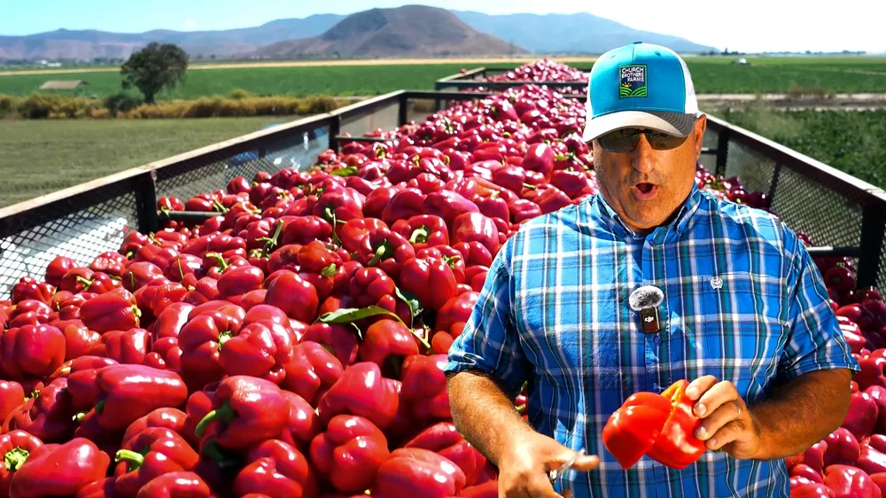 Rio Farms grower story