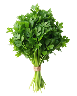 Herbs