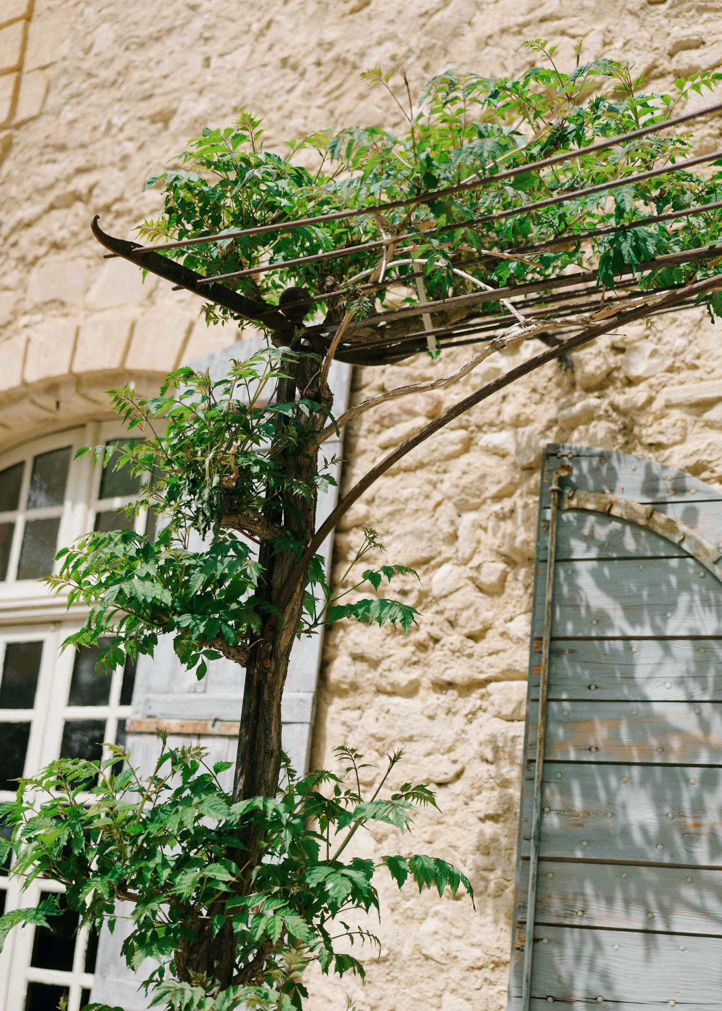 yeojin-dave-provence-mayamarechal-photography (4 of 60).jpg
