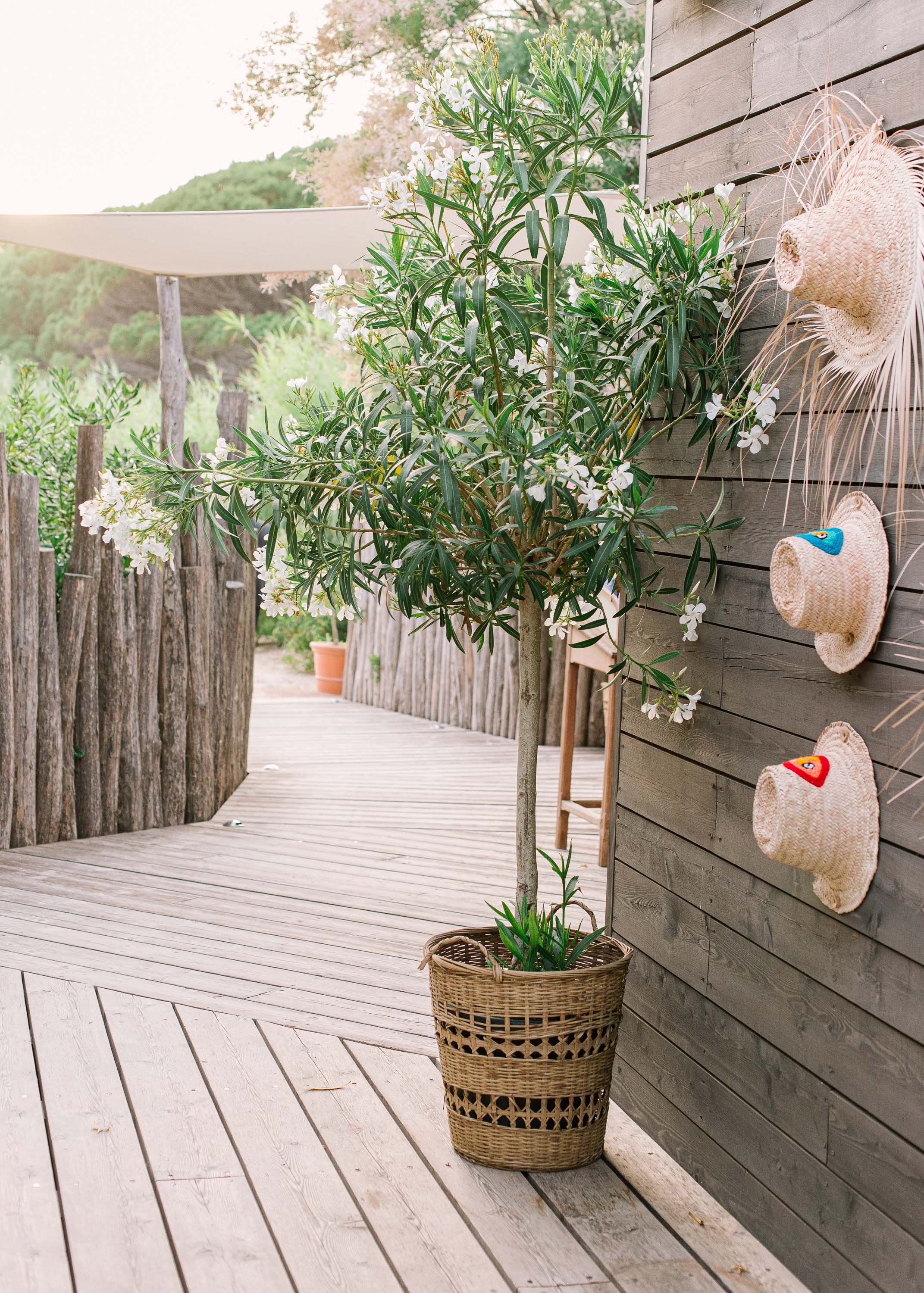 saint-tropez-wedding-photographer (16 of 53).jpg