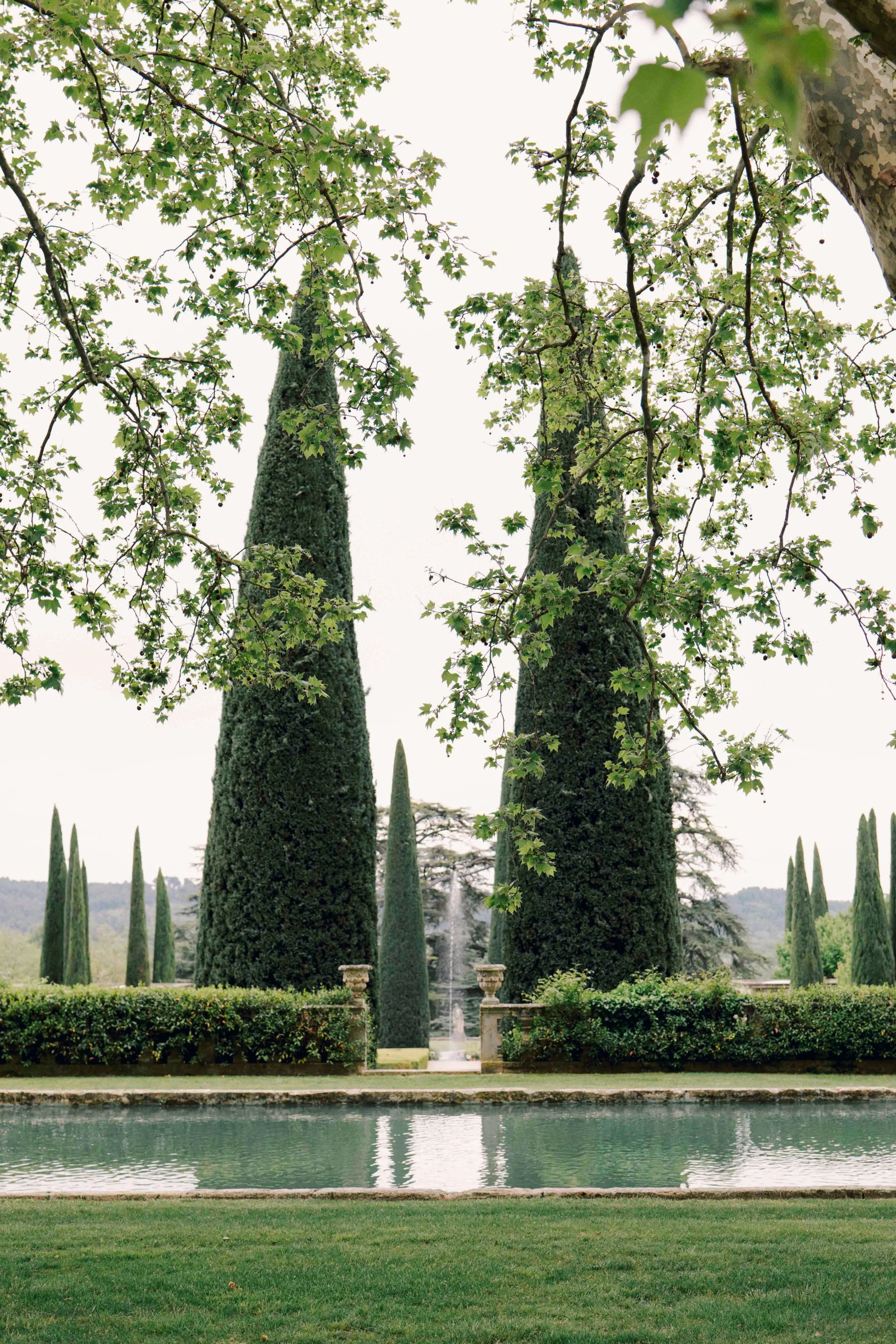 yeojin-dave-provence-mayamarechal-photography (49 of 60).jpg
