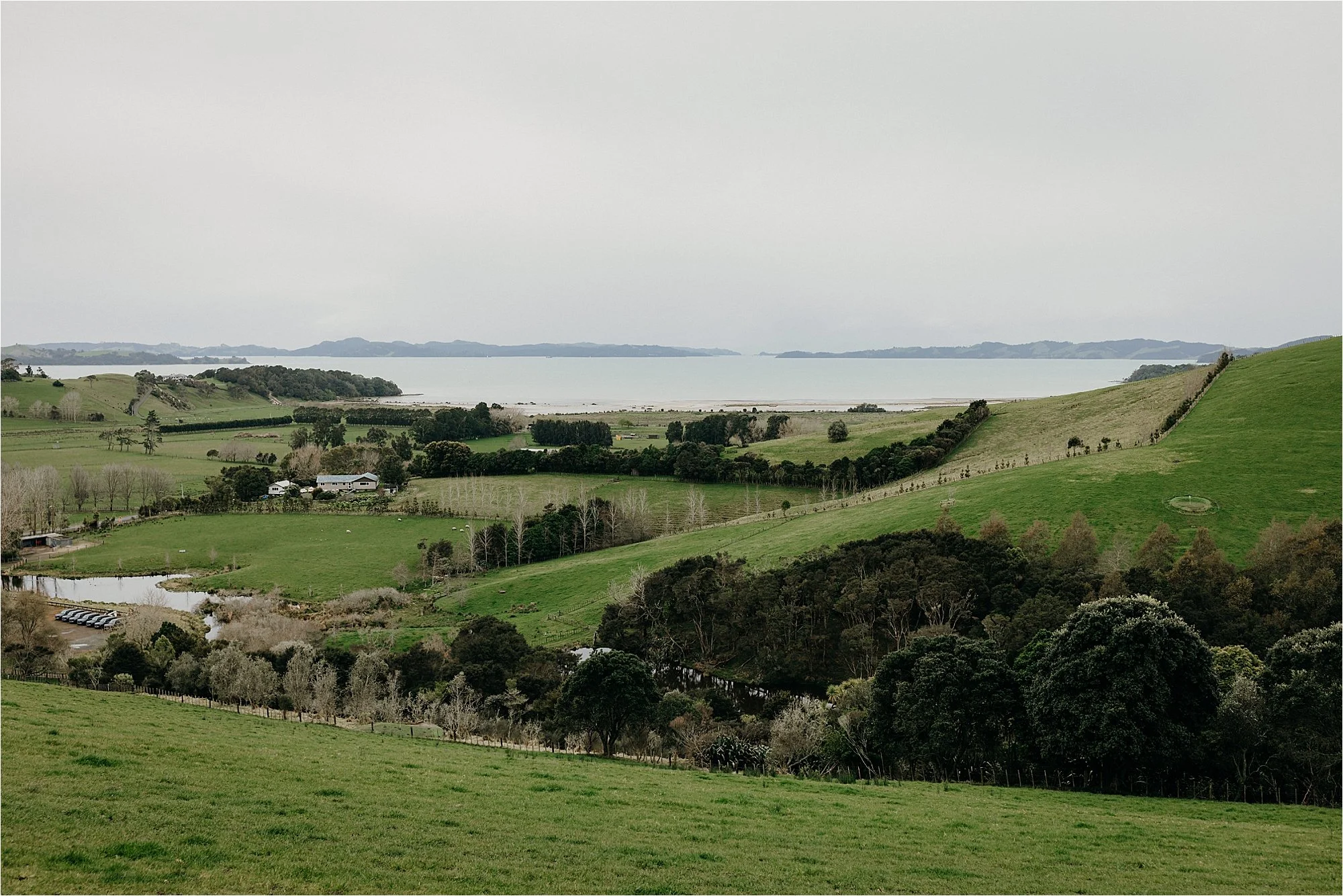 Kauri_Bay_Wedding_0011.jpg
