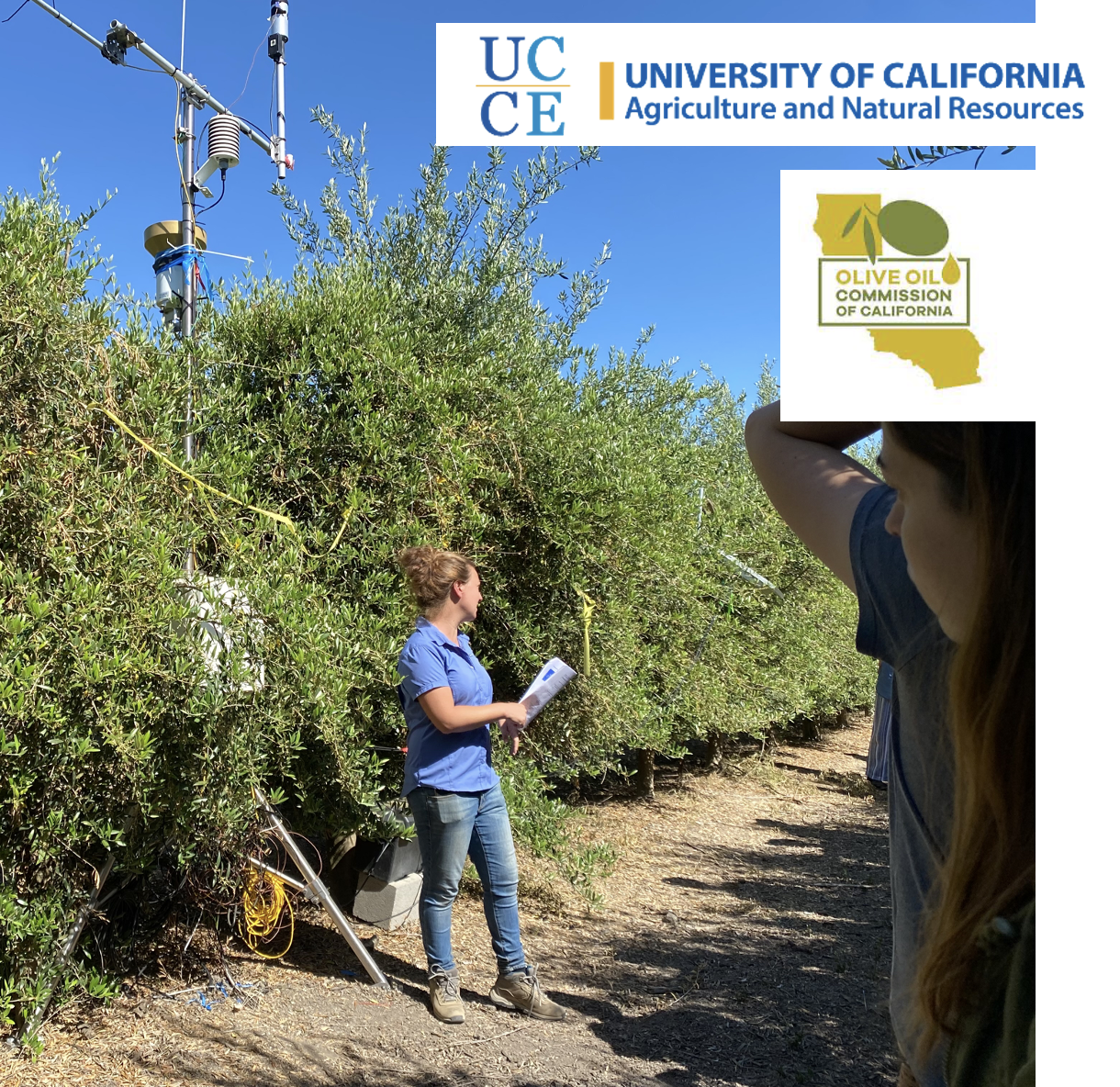 Plant Optics Lab @ UC Davis - AGU 2022