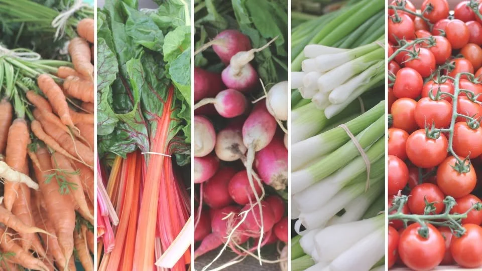 Cochrane and Area Gardening Expo