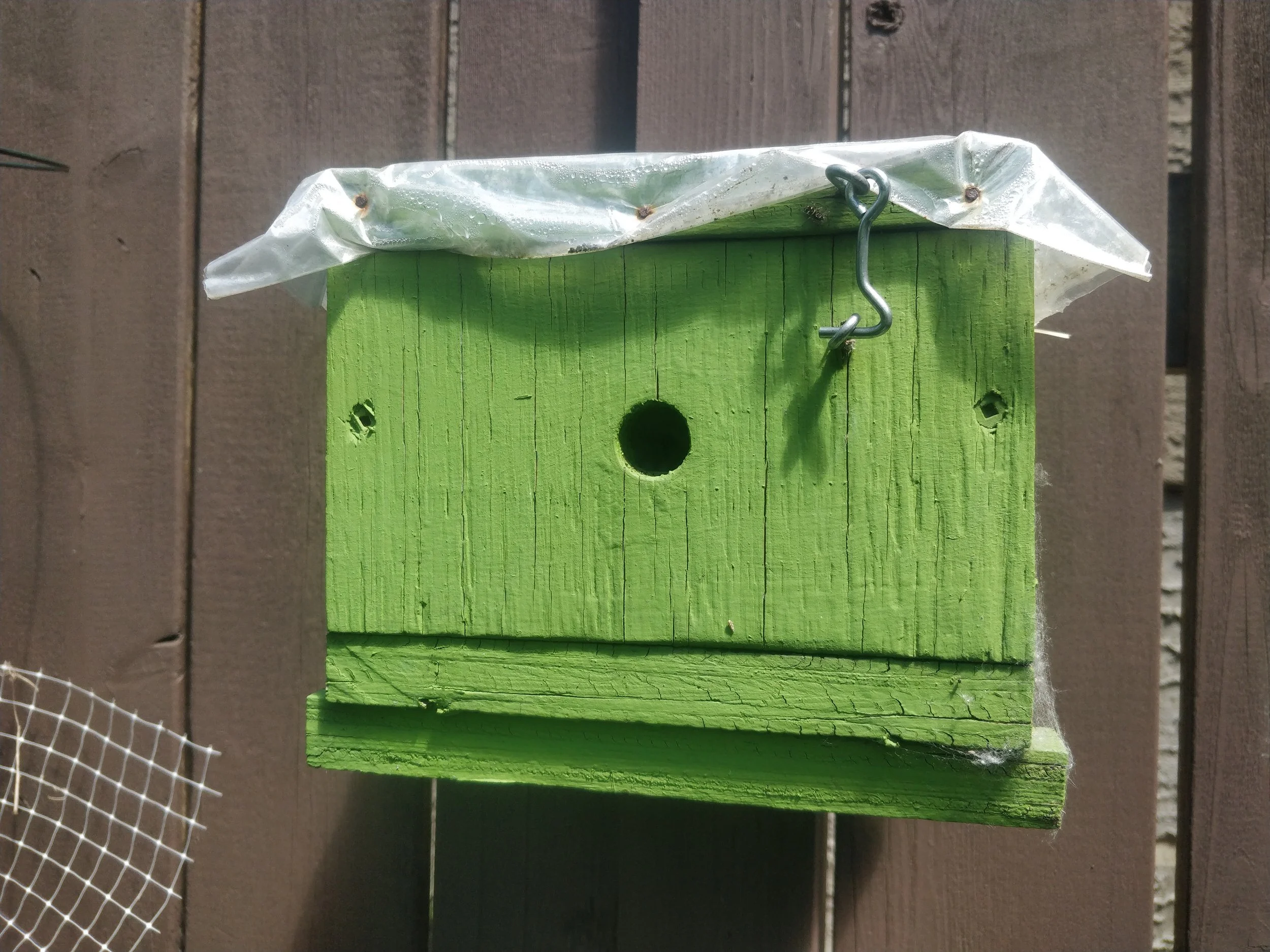 North Glenora (Edmonton) Bumble Bee Box Workshop