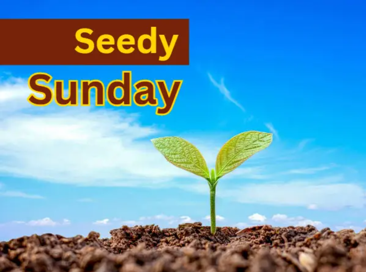 Edmonton Seedy Sunday