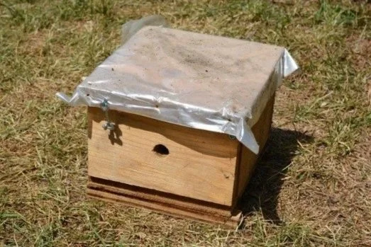 Grand Prairie Bee Box Workshop