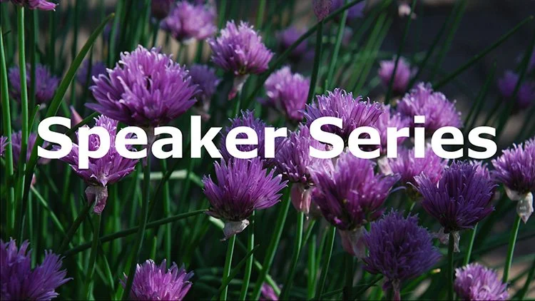 Edmonton Horticultural Society Speaker Series - Native Bees