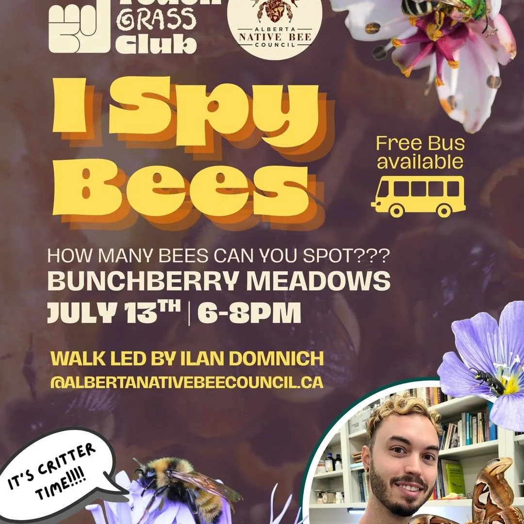Pollinator Walk in Bunchberry Meadows