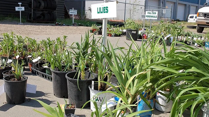 EHS Garden Fest 2026