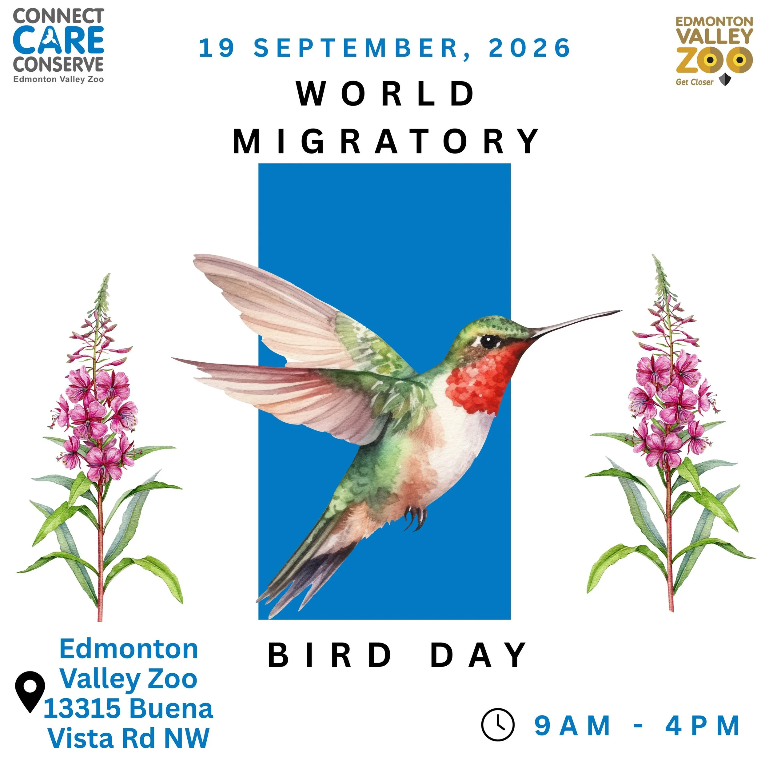 Fall World Migratory Bird Day at the Valley Zoo!