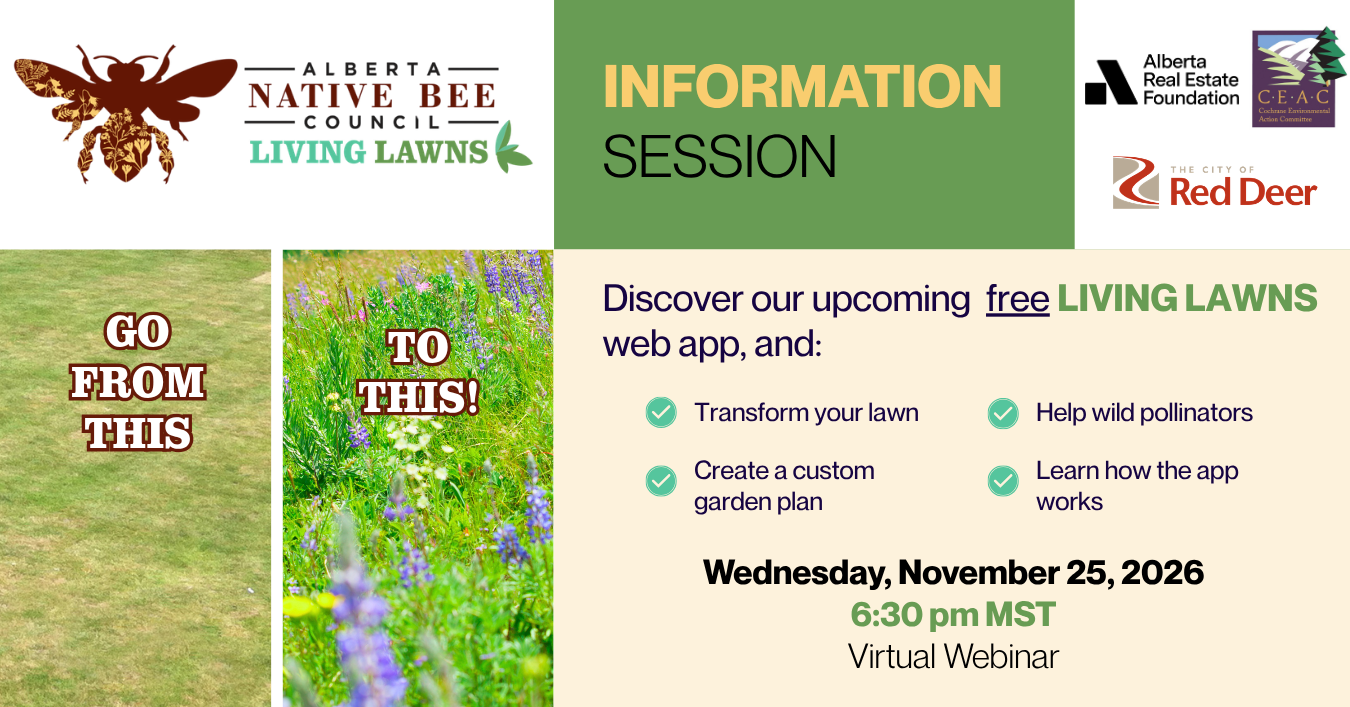 Living Lawns Information Session