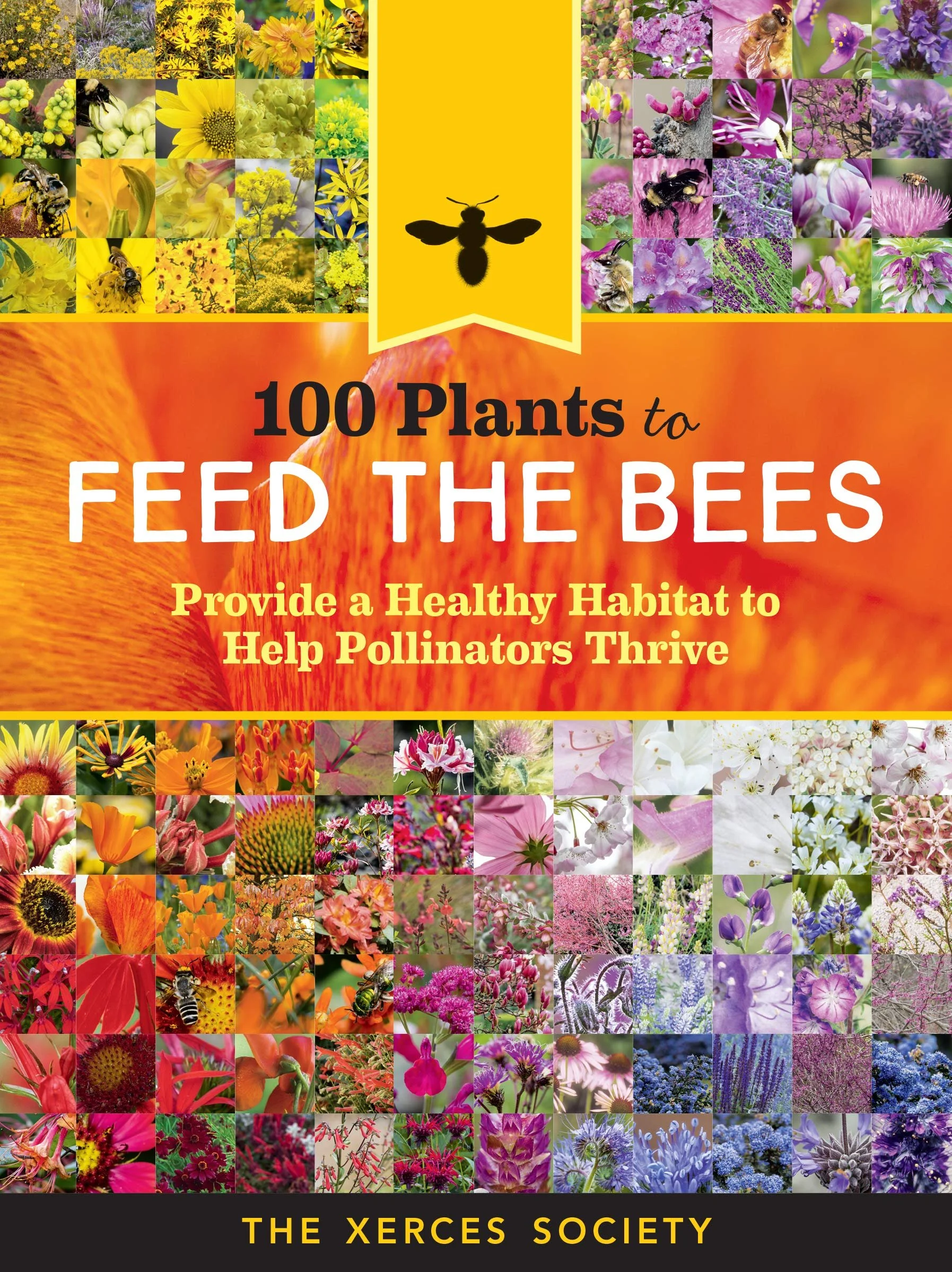 Our Top 10 Book Suggestions If You Want to Learn About Bees and How to