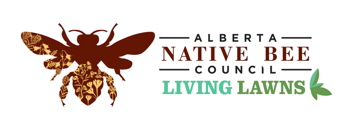Alberta Native Bee Council