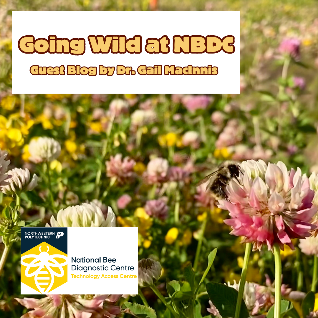 Going Wild at NBDC — Alberta Native Bee Council