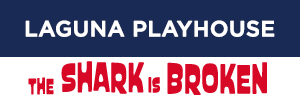 LP-TSIB-Banner-Ads-300x100.gif
