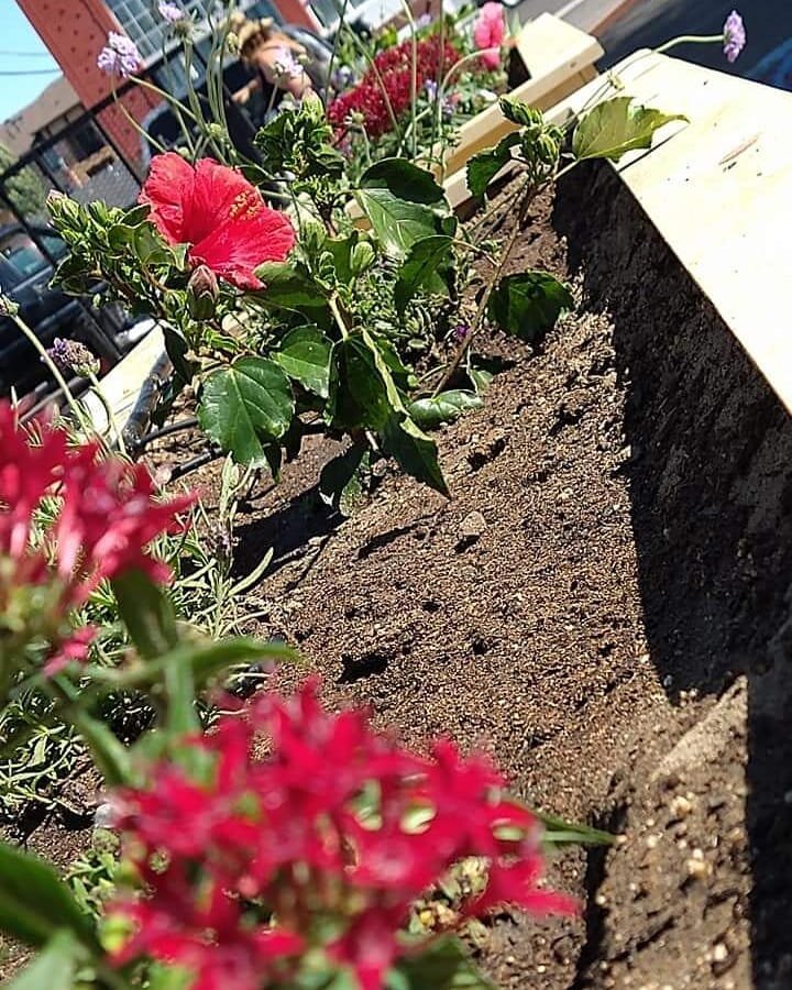 🌺💐bringing together final touches before the grand opening  TODAY 5 - 9pm!!! We are so grateful for everyone who has helped so far to bring this space to life ❤ see you TONIGHT! 

#healingarts #growth #garden #newbeginnings #artgallery #grandopenin