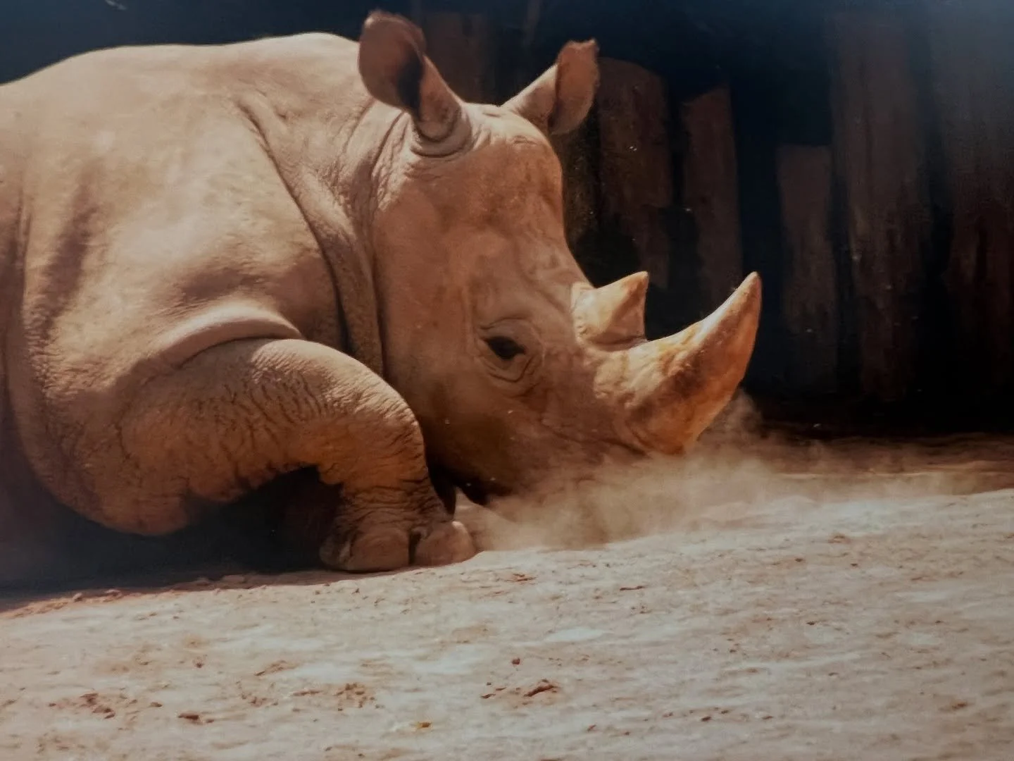 Thank you @millennialmike for a wonderful October show at @savagemysticart. If you haven&rsquo;t seen his work yet you have one week left to take a peek. 📸