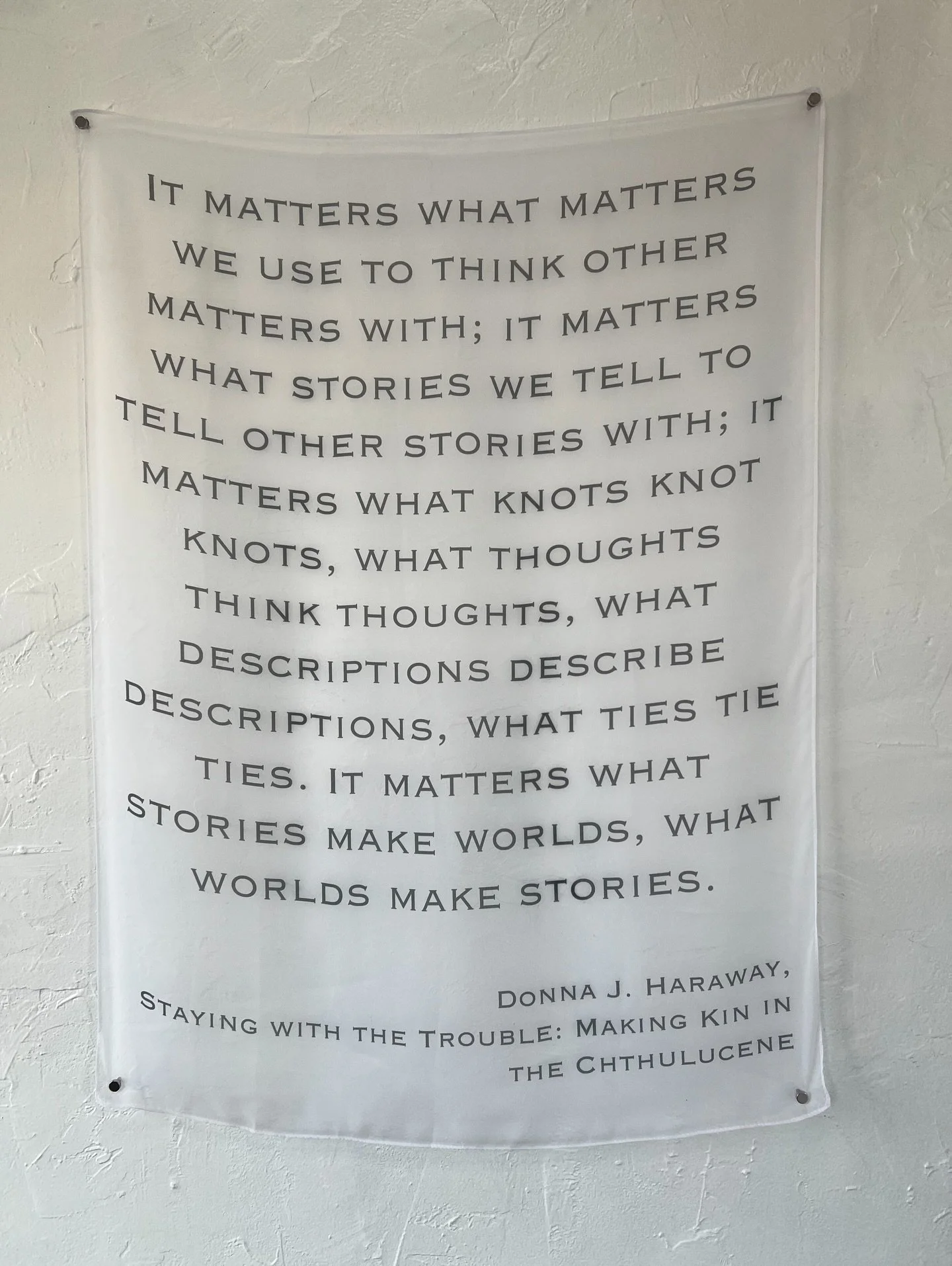 Coming up this Thursday, the reception for Altruistic Nostalgia with @mcauliffe.photography from 5pm - 8pm. 

Join us for light refreshments and words from the artist. All are welcome to attend. 

It matters what matters
 -