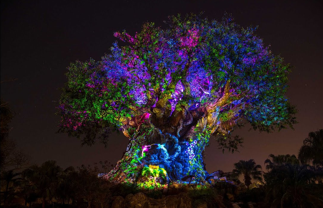 Tree of Life Awakenings and Beacon of Magic Returns